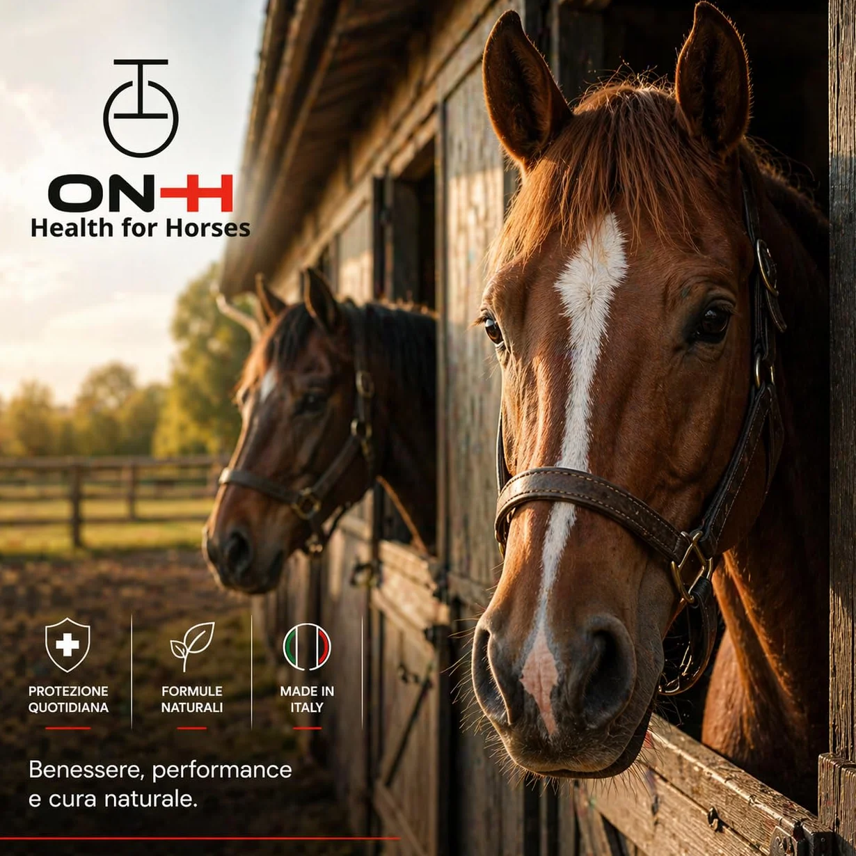 ON-H Crio Gel per Cavalli 200 ml | Gel Defaticante per Tendini e Legamenti | Effetto Rinfrescante dopo Allenamento e Gara | Supporto Recupero Muscolare Cavallo Sportivo | uso Quotidiano