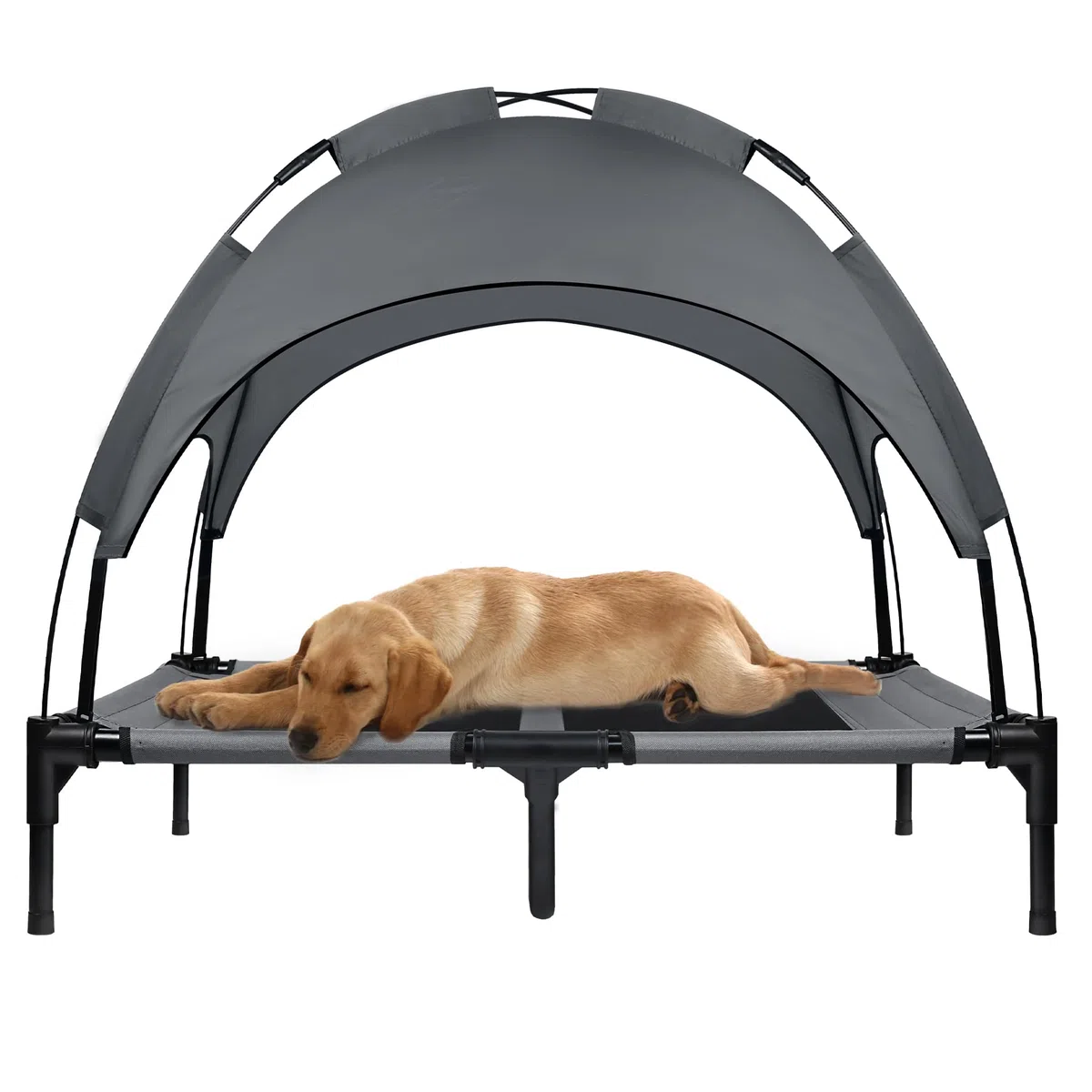 UISEBRT Cuccia Rialzata per Cani con Baldacchino e Tetto Impermeabile, Lettino da Esterni con Rete Traspirante per Campeggio, Spiaggia - Misura L, 92 x 76 x