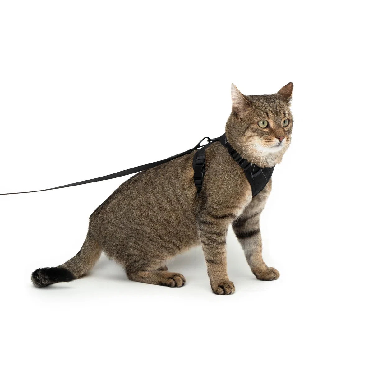 LucyBalu® Explorer Pettorina con guinzaglio e scomparto AirTag I Nero