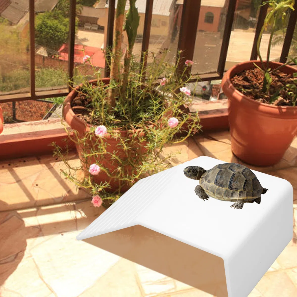 Tnfeeon Tartaruga Basking Platform Simulazione Acrilico Tartaruga Rampa Tartaruga Riposo Basking Dock Decorazioni Galleggianti Tortoise Ramp Rettile Scaletta Dock per Tartaruga Acquatica (L)