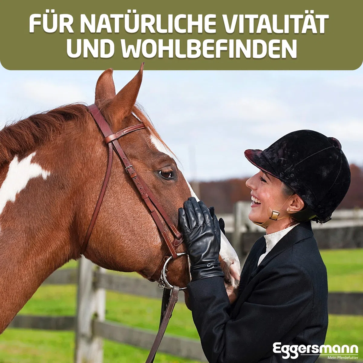Eggersmann Mein Pferdefutter Combi Pellets 10 mm 25 kg – Mangime misto pelletizzato per cavalli e pony – Complemento ideale per l'alimentazione di avena e fieno – cibo per cavalli riduce le proteine e
