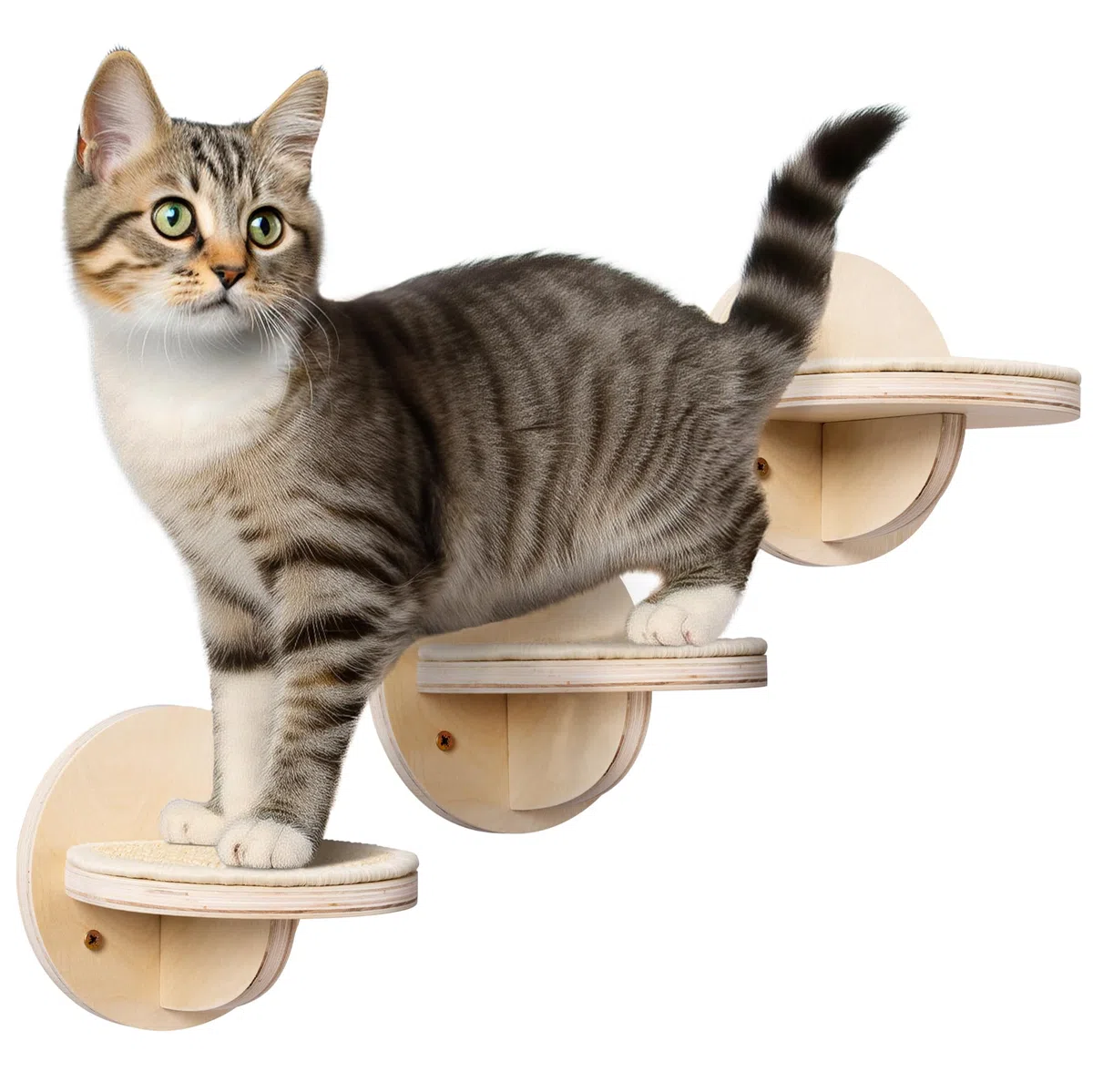 Navaris Scaletta per Gatti - Parete Arrampicata - 3 Mensole da Parete - Mensola Gatto 16 x 16 x 15 cm - Peso Supportato 10 kg - Palestra Gatti - Montaggio Facile - in Legno e Sisal