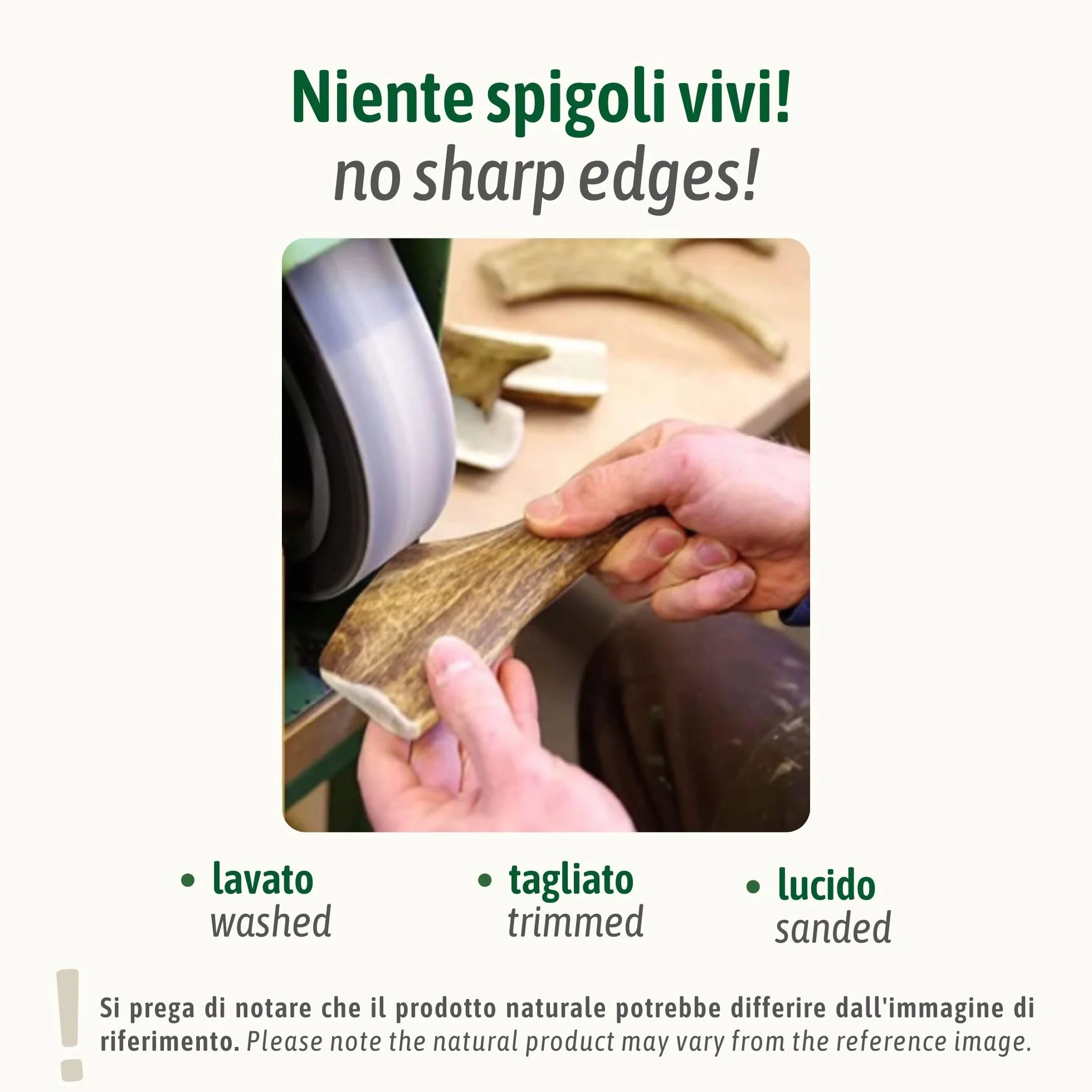 ChronoBalance-XXL Corno di Cervo per Cani, Confezione da 1, 100% Naturale, Pezzi Interi, Cura Dentale, Giocattolo per Cani, Ricco di Minerali e Nutrienti, Lunga Durata