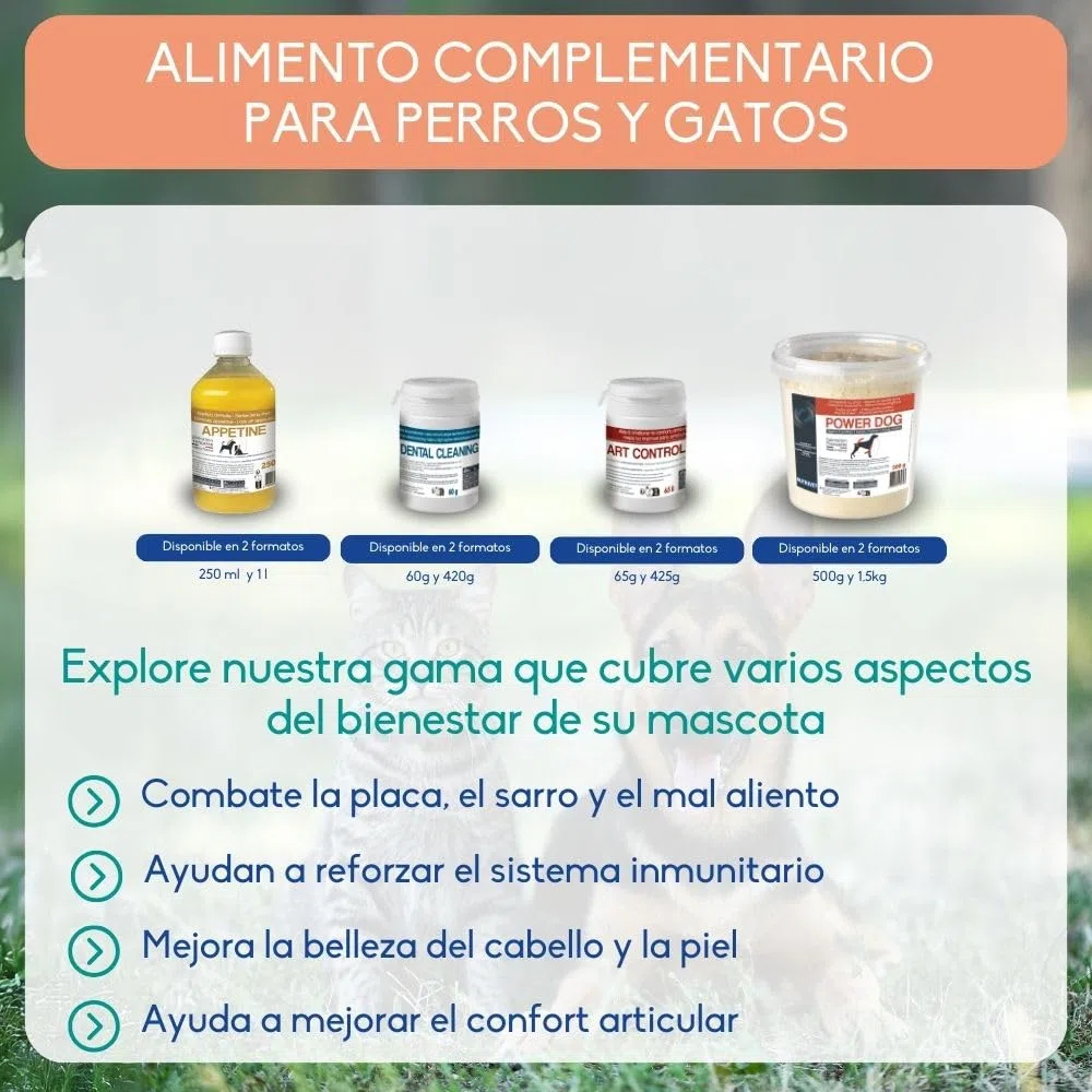 NUTRIVET - Alimenti complementari - Cani & Gatti - Olio di Salmone - Ricco di Omega 3 e 6 - Flacone Pompa 1L