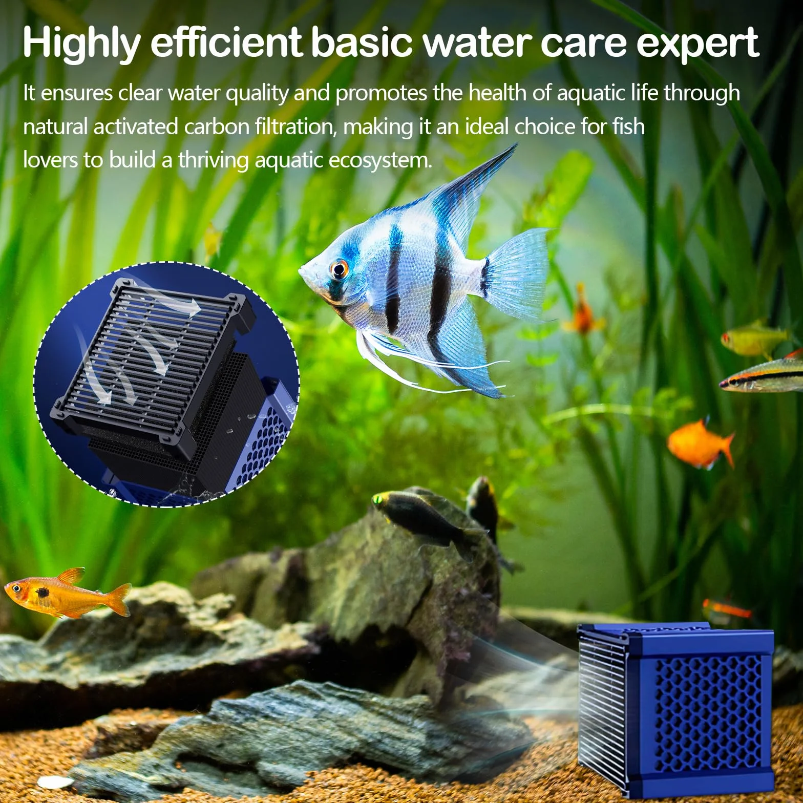 Set di 2 Cubetti Filtranti a Carbone Attivo, per Abbeveratoi per Cavalli Acquario e Laghetti, Filtro per Purificazione di Contaminanti e Odori, Filtro a Carbone Attivo per Purificazione dell'acqua