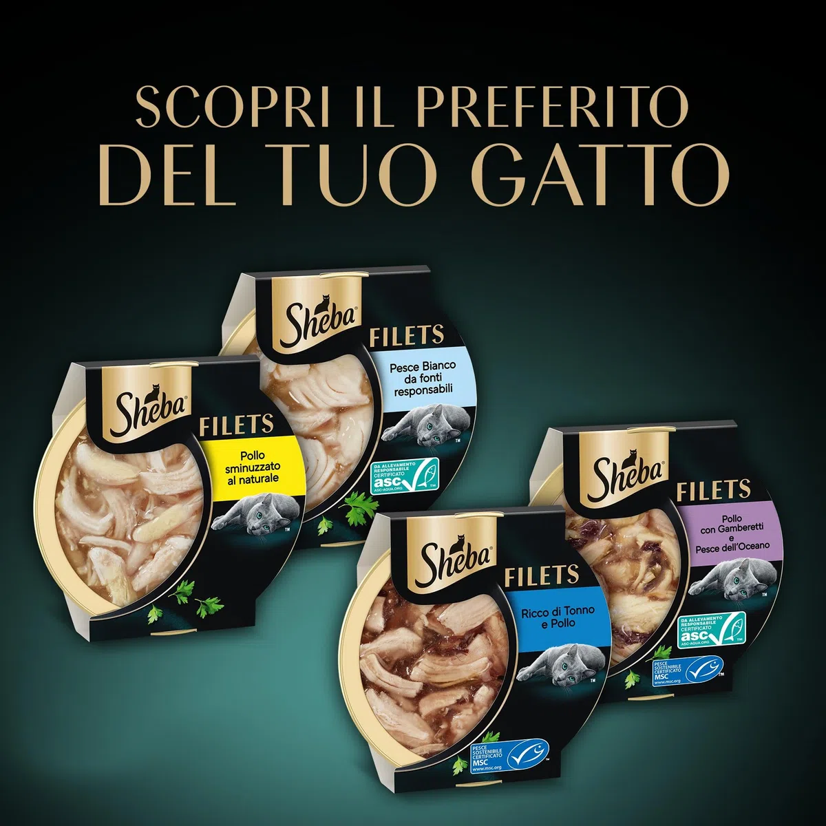 Cibo per gatti adulti SHEBA Filets gusti assortiti in salsa Vaschette 6x60g, confezione da 6