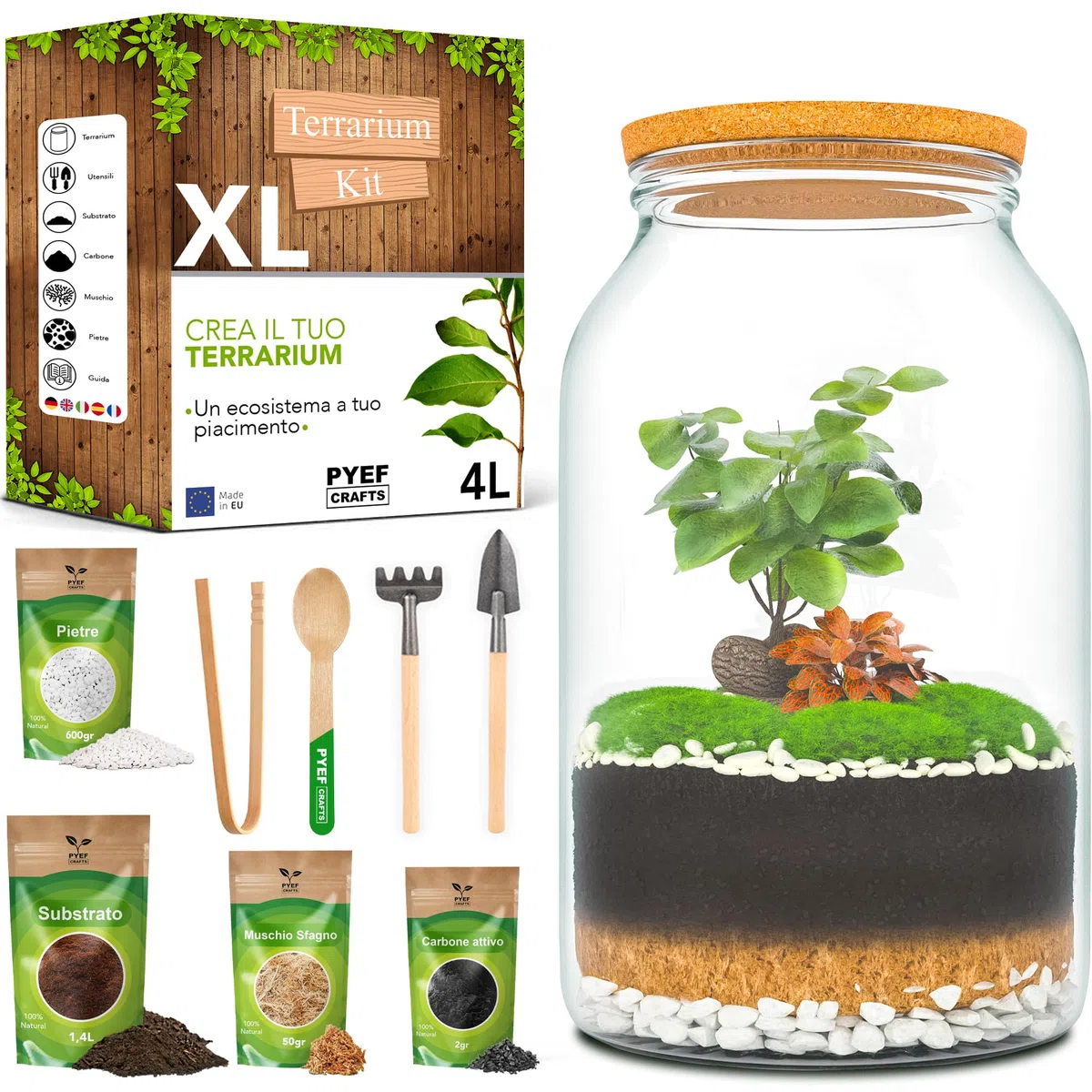 Terrarium Kit XL per un Ecosistema Autosufficiente - DIY Kit Terrario Piante Vetro 4L - Terrarium Vetro XL per Giardino in Bottiglia Ecosistema - (Senza Pianta)