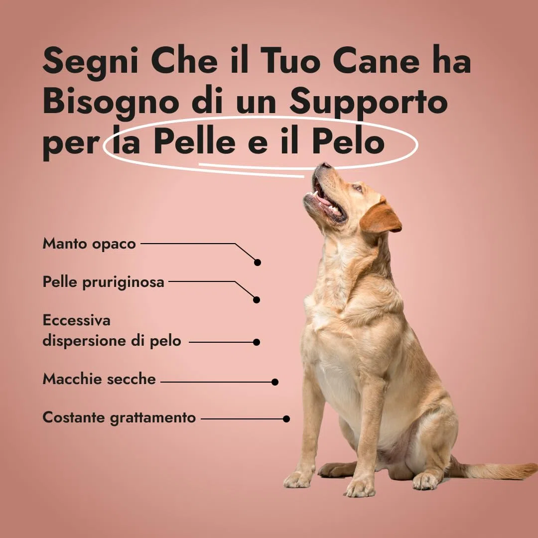 Super Skin & Coat – Integratore naturale per cani con collagene, semi di lino e olio di pesce per pelle elastica, pelo sano e riduzione delle infiammazioni (1x 100 g)