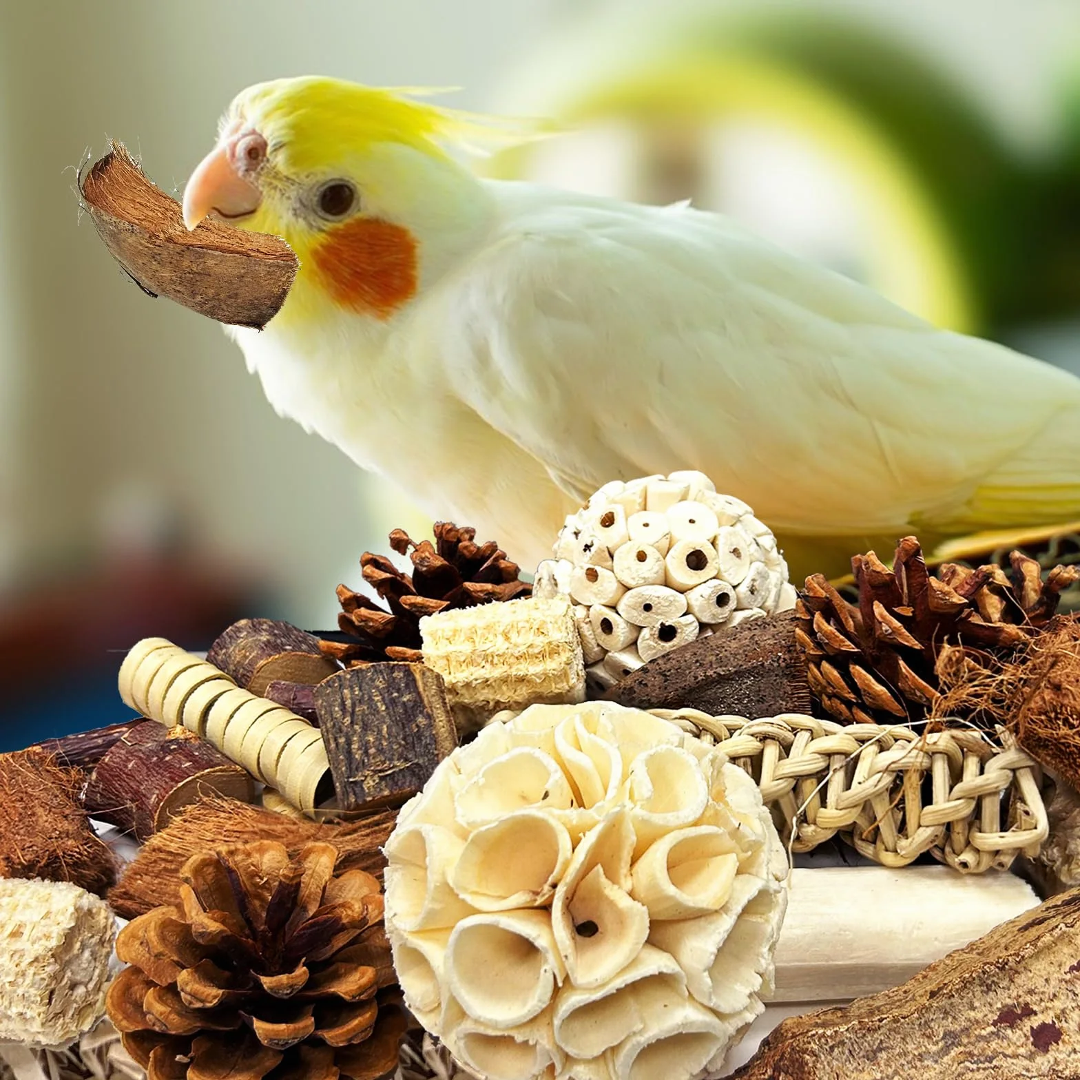 Giochi Pappagalli Legno Naturale, Giochi per Pappagalli, Pappagallo Giocattolo da Masticare Naturale, Giocattolo per Uccelli per Tutti i Pappagalli