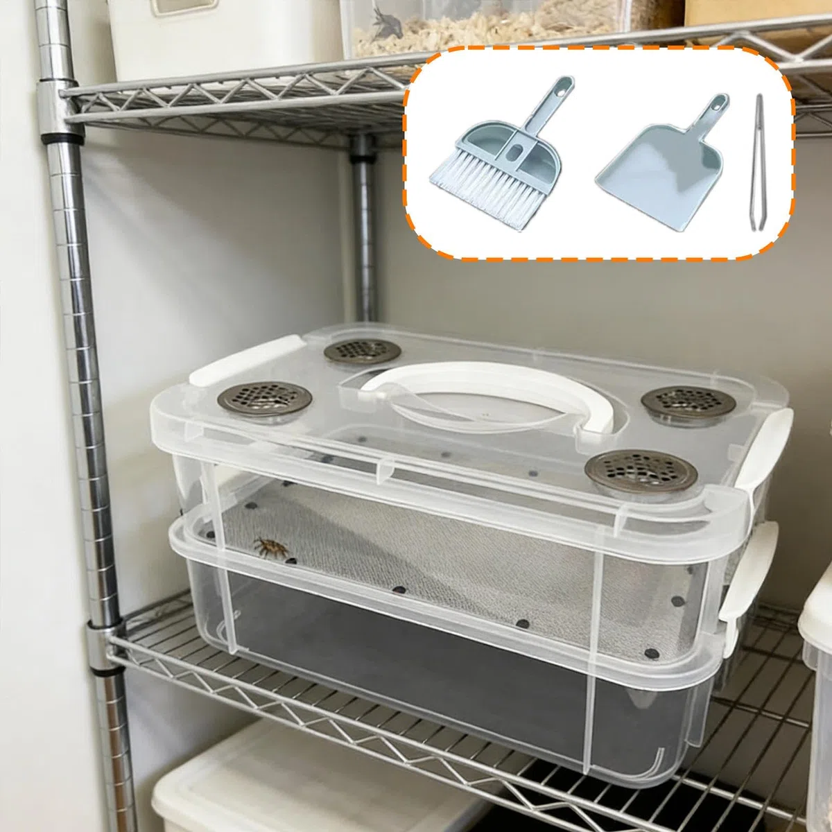 Mealworm Breeding Box Contenitore Allevamento Vermi Scatola Trasparente Ventilata con Setaccio Facile Pulizia Design Impilabile Adatto per Trasporto O, Rete Fine