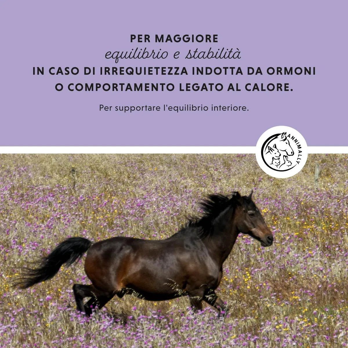 Annimally Liquido di Agnocasto per Cavalli 1000ml con Ashwagandha, Magnesio e Radice di Liquirizia – Per l'irrequietezza ormonale o il comportamento da calore nel cavallo