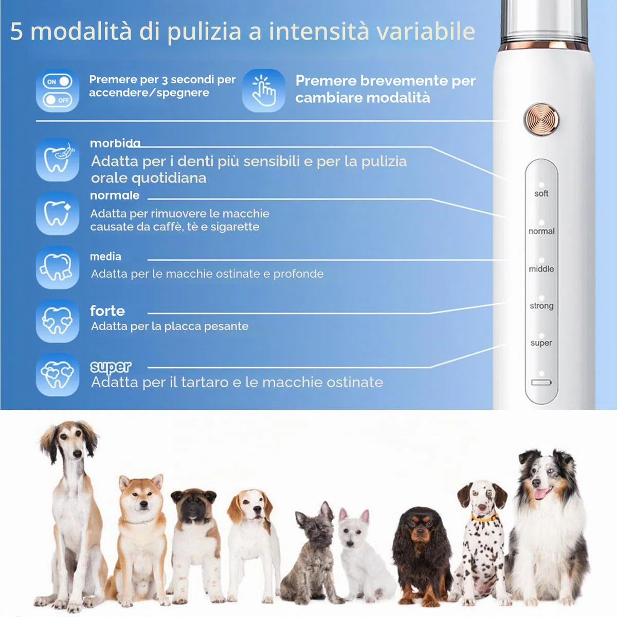 Rimozione del tartaro ad ultrasuoni Kit di pulizia dentale ad ultrasuoni per cani pulitore dentale per animali domestici 5 modalità regolabili per gatti strumenti di pulizia dei denti rimozione del