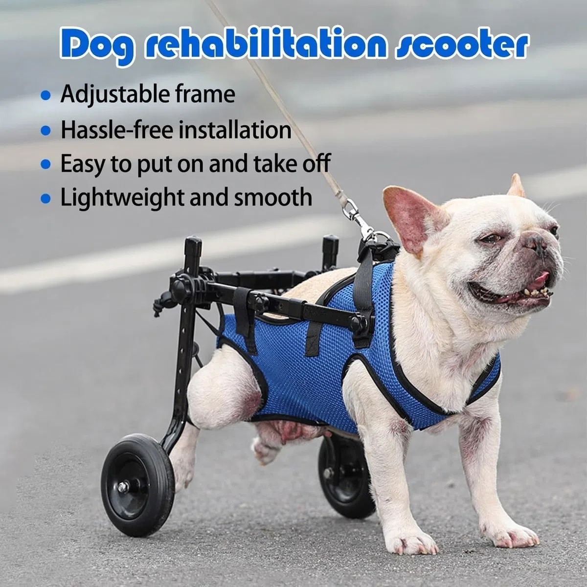Carrozzina Per Cani Per Zampe Posteriori, Ausili Per La Mobilità Per Animali Domestici Disabili, Tutore Per Zampe Di Cani E Supporto Per Fianchi(Medium)