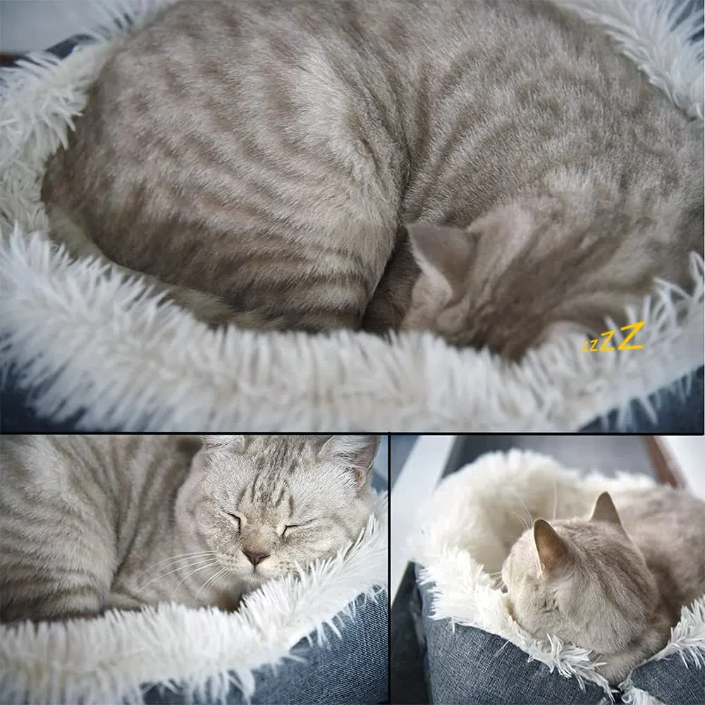 Letto per Cani, Cuccia per Gatti, 2in1 Cuccia per Gatti, Cuccia Pieghevole per Animali Domestici, Lavabile, 61x51cm, per Gattini Indoor e Outdoor, Cuccioli e Piccoli Animali (Bianco)