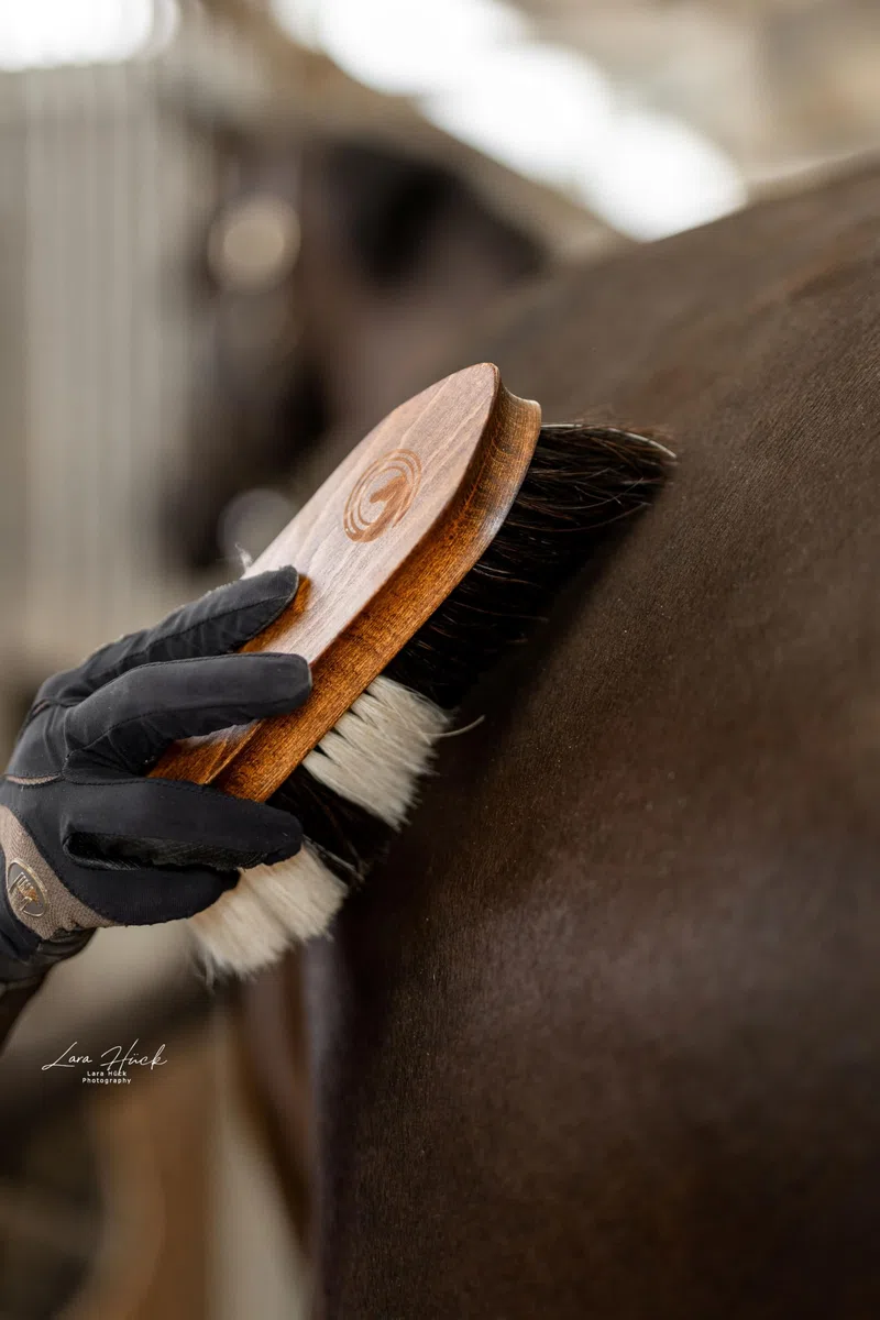 Spazzola per cavalli – spazzola lucidante con setole dense in crine e manico in legno ergonomico | Rimuove polvere e sporco | Cura efficace e delicata per un manto brillante