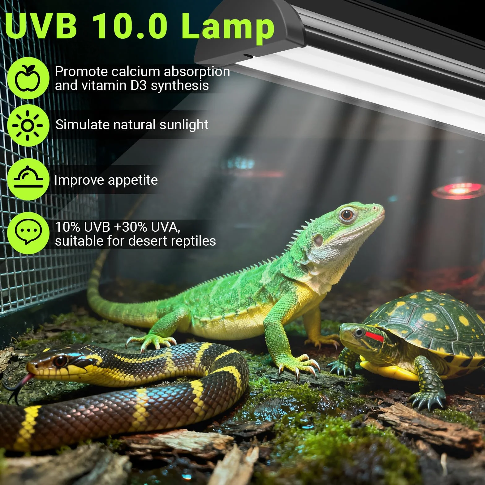 Kit per rettili UVB T5 da 8 W, 10% UVB e 30% UVA per rettili del deserto tropicale, dispositivo ad alta potenza da 31,5 cm con tubo UVB T5 10.0 per draghi barbuti, lucertola, tartaruga e