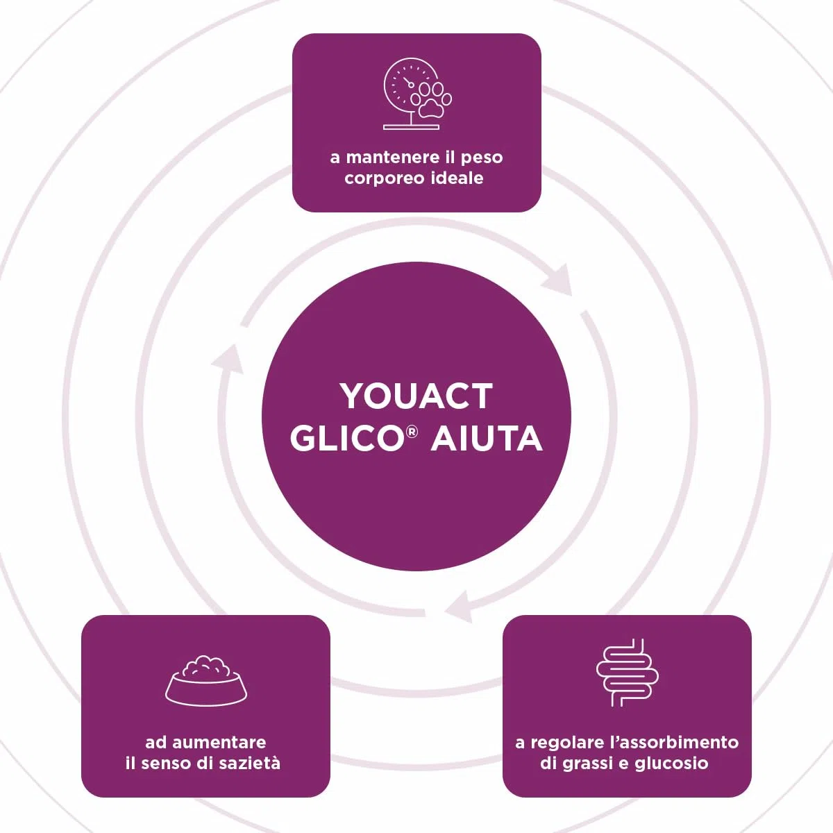 Glico 30 Bustine - Mangime Complementare Ipocalorico, Contribuisce al Mantenimento del Peso Corporeo Ideale, Contribuendo A Ridurre I Rischi Associati al Sovrappeso E All'Obesità del Cane.