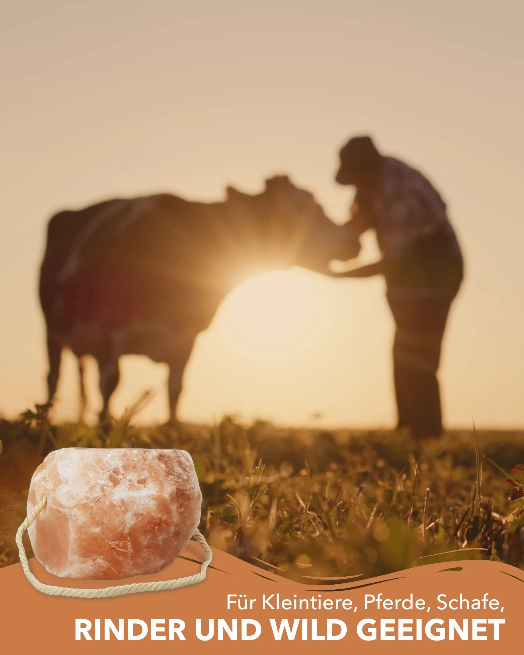 Pietre di sale di alta qualità "cristallo di rocca", 4 pietre con cordoncino, per un totale di circa 8 kg, per cavalli, pecore, bovini, selvaggina, sale di bestiame – pietra minerale – pietra preziosa