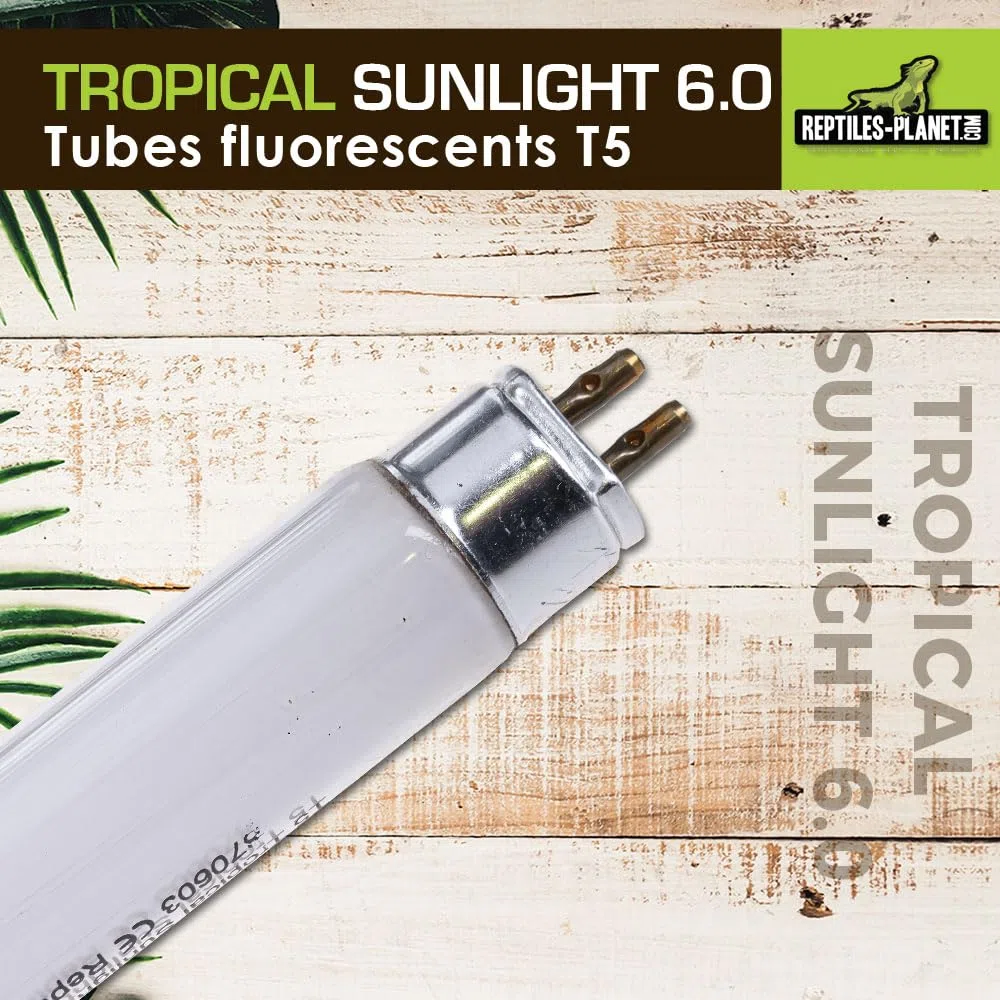 Rettili Planet T5 Tubo UVB 6.0 Tropicale Sunlight Illuminazione per Reptile/amphibien 8 W L 29 cm Diametro 16 mm
