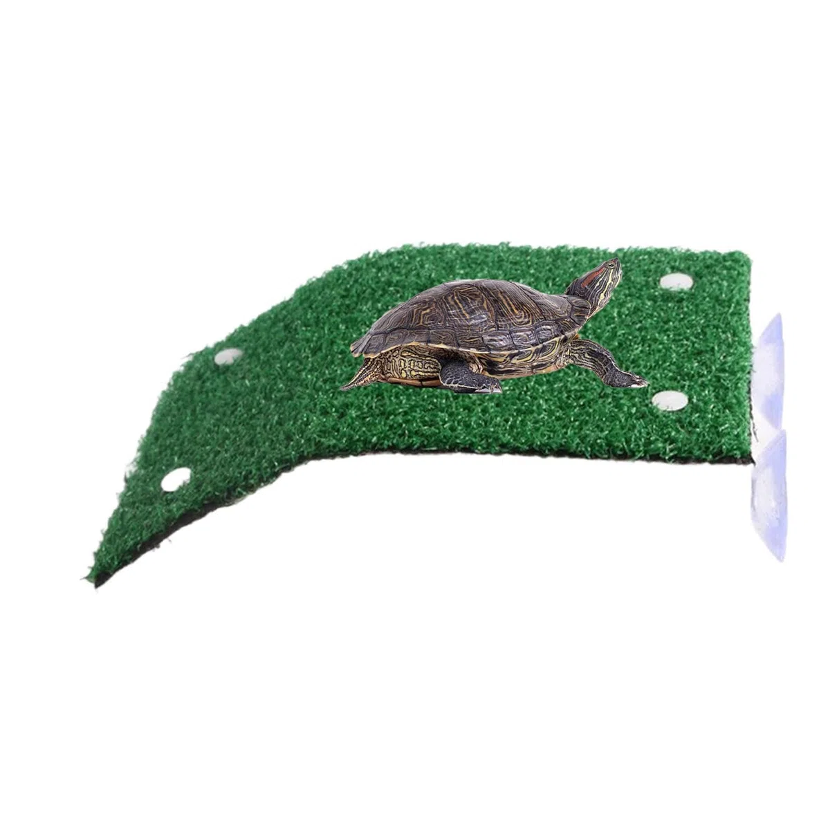 Molo per basking delle tartarughe - Piattaforma di riposo per acquario, simulazione di habitat terrestre per, terrazza solarium per rettili antiscivolo | Granchi Terrapin Rana Salamandra
