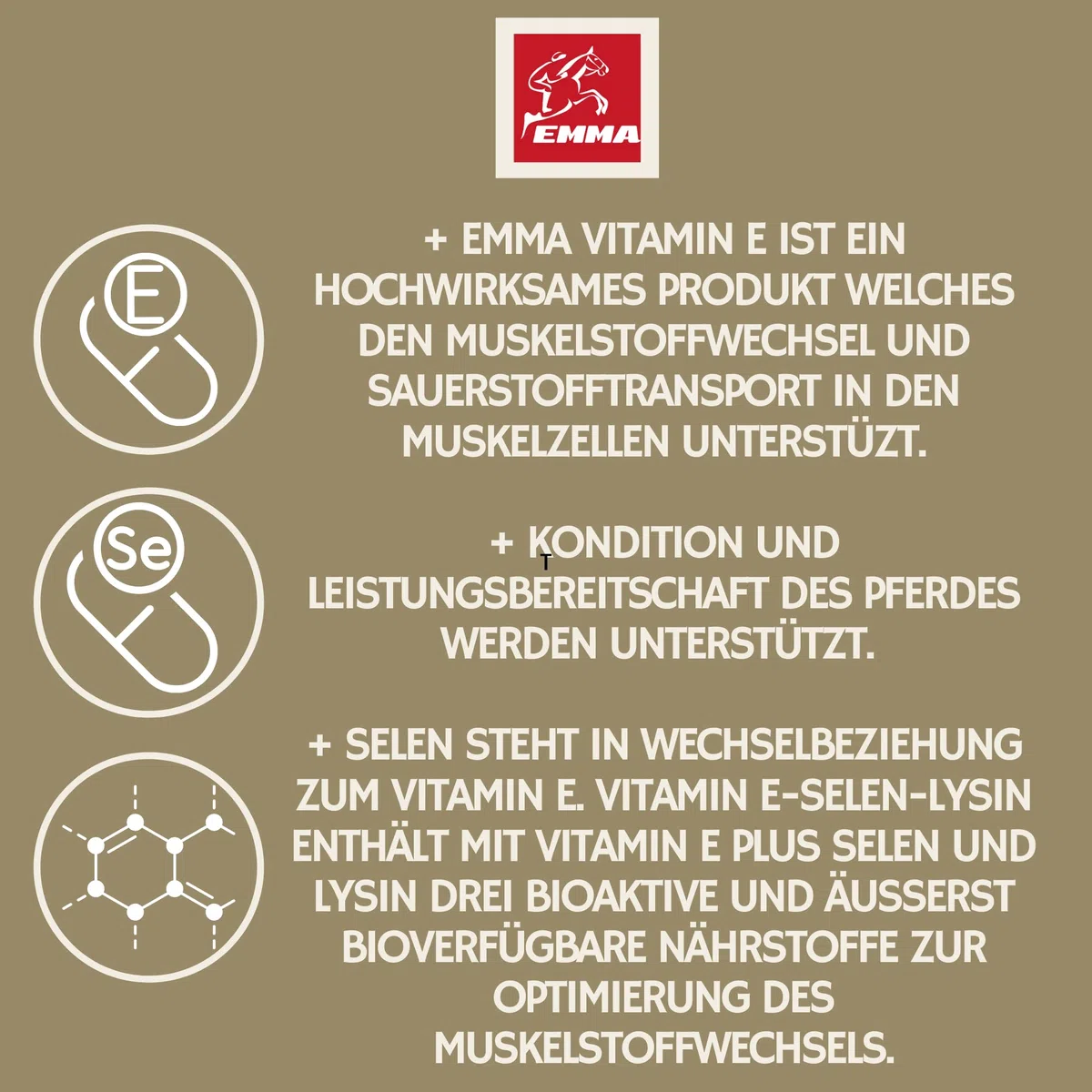 Vitamina E Cavallo I Selenio Cavallo I Vitamina E Selenio Lisina Cavallo I VIT E Mangime supplementare Booster energetico Muscolo I Costituzione muscolare I mangime Senior Selenio altamente dosato 1L