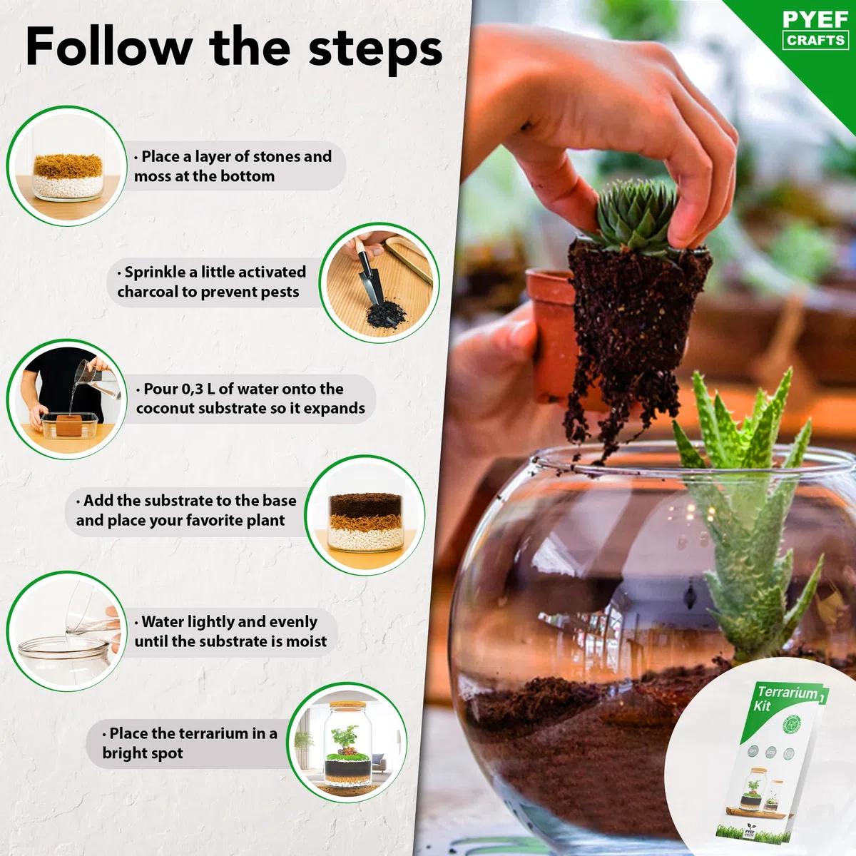 Terrarium Kit XL per un Ecosistema Autosufficiente - DIY Kit Terrario Piante Vetro 4L - Terrarium Vetro XL per Giardino in Bottiglia Ecosistema - (Senza Pianta)