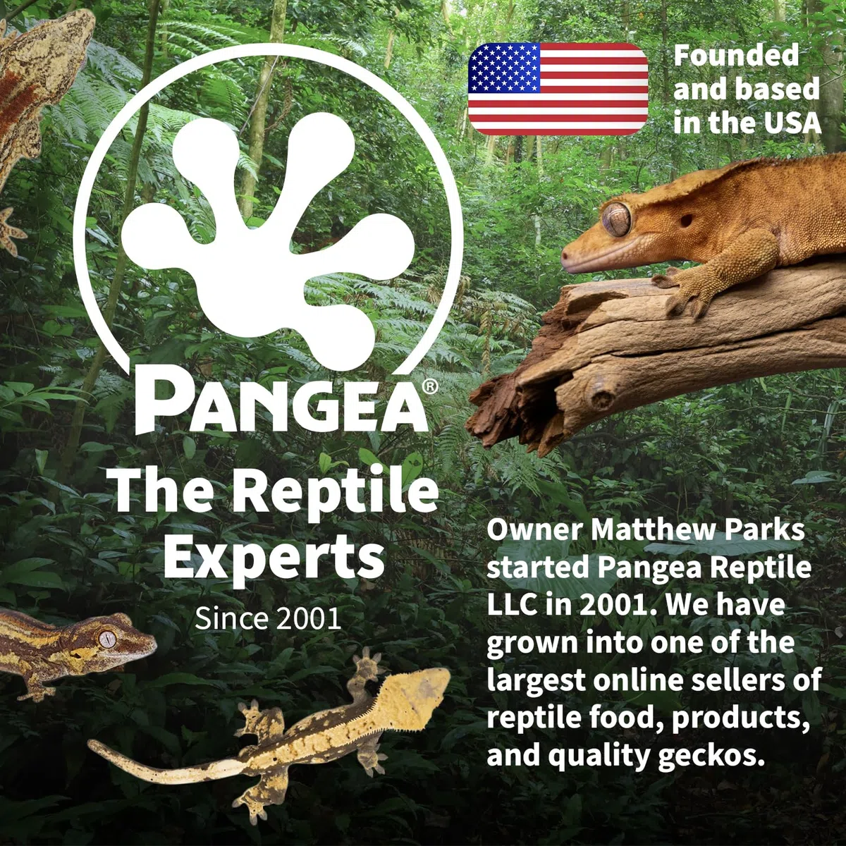 Pangea Fruit mix with insects Complete Gecko Diet – Corona Gecko Fodera