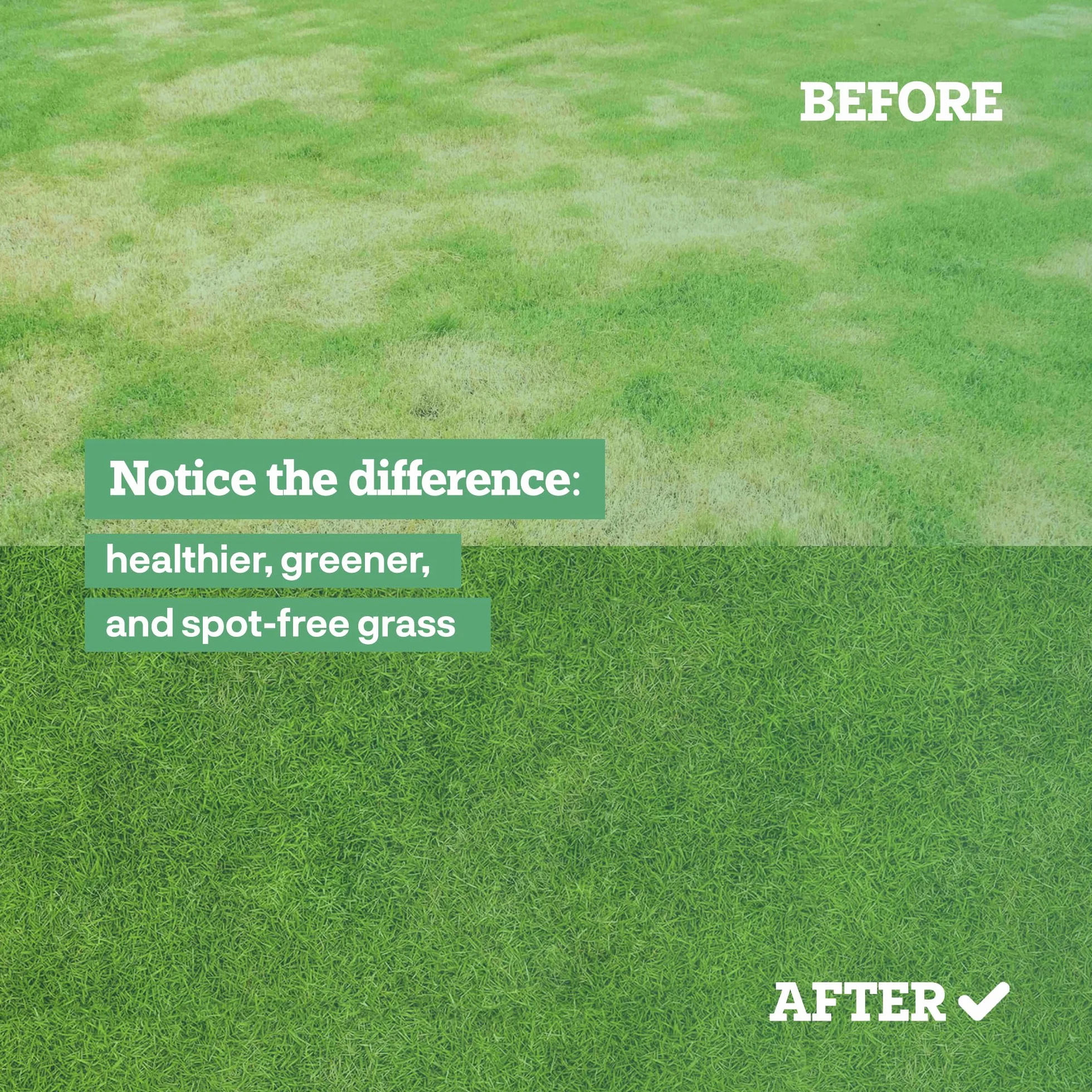 Dog Rocks Preventer di Urina per Cani, 600g