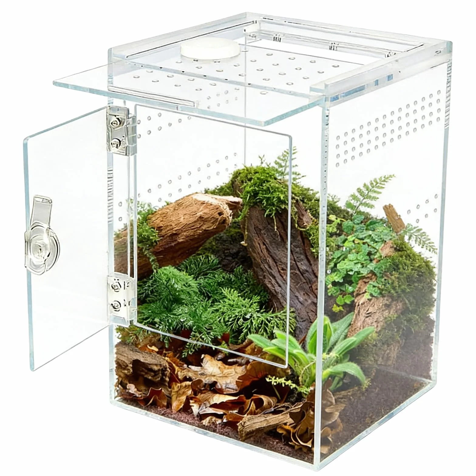 Recinzione per ragni per saltare, 15 x 15 x 23 cm, in acrilico, terrario, rettangolo a 360°, in vetro rettangolare con porta laterale, per serpente, rana, insetto, tarantola, granchio eremita