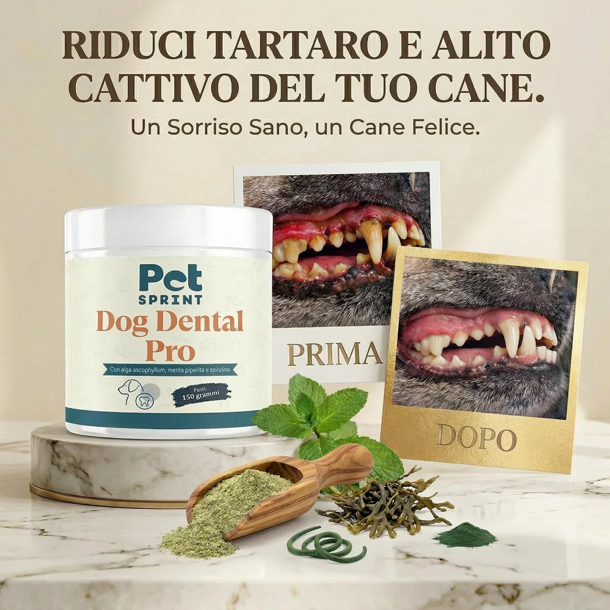Dog Dental PRO Polvere Pulizia Denti Cane con Ascophyllum Nodosum, Spirulina e Menta Piperita, Supporta Igiene Orale Senza Spazzolino, Alito Fresco, Integratore Naturale per Cani, Marca Italiana