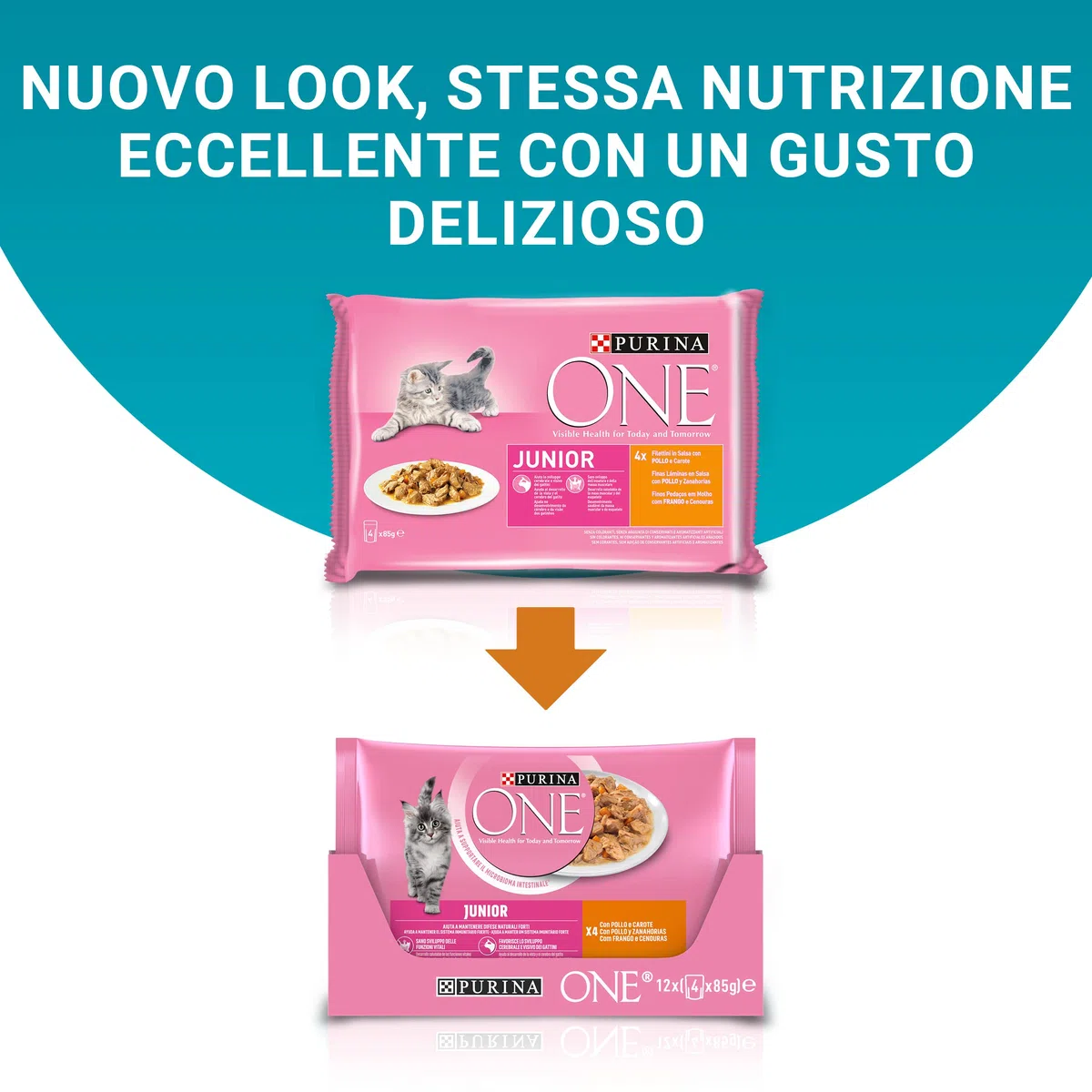 PURINA ONE Junior Cibo Umido per Gattini 1-12 Mesi Filettini con Pollo e Carote in Salsa 48 Buste da 85 g