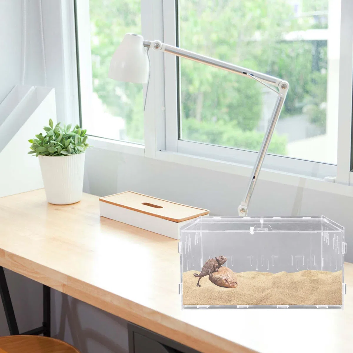 Reptil - Scatola di alimentazione in acrilico, 30 x 20 x 15 cm, per terrario, per insetti e rettili, terrario, per tartarughe d'acqua, ragni, criceti, granchio eremita, lucertola