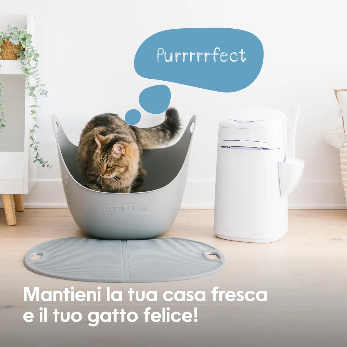 Litter Genie - Official Litter Locker - Pattumiera per lettiera per gatti a prova di odore, facile da pulire, con paletta inclusa e 1 ricarica XL (3 mesi). Compatta e facile da usare.