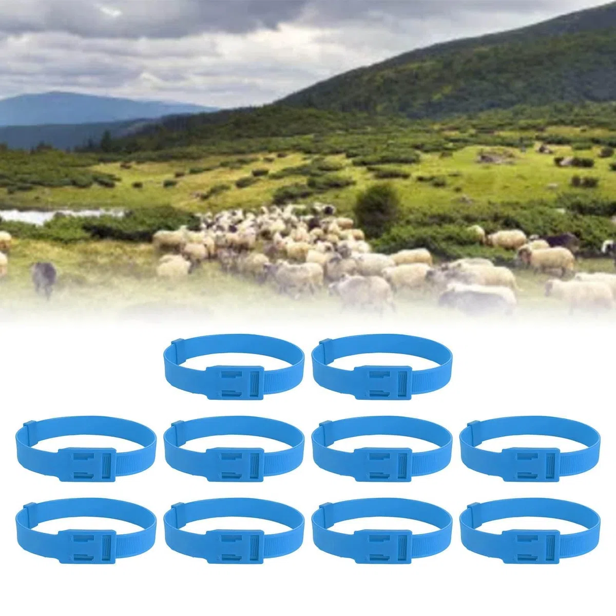 Set di 10 Collari per Pecore e Capre in PU, Regolabili con Campanello in Bronzo, Accessori per Piccoli Animali da Fattoria, Blu