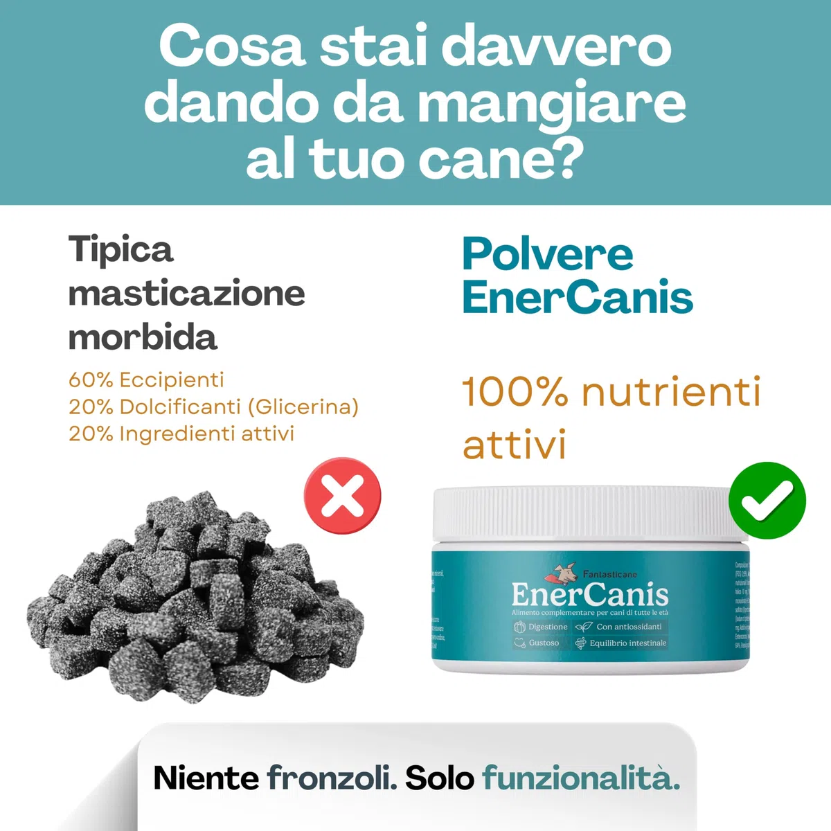 EnerCanis 14-in-1 Integratore Digestivo in Polvere per Cani Probiotici per Cani, Prebiotici, Enzimi Digestivi, Curcumina, Minerali Digestione, Pelle, Pelo ed Energia Tutte le Taglie