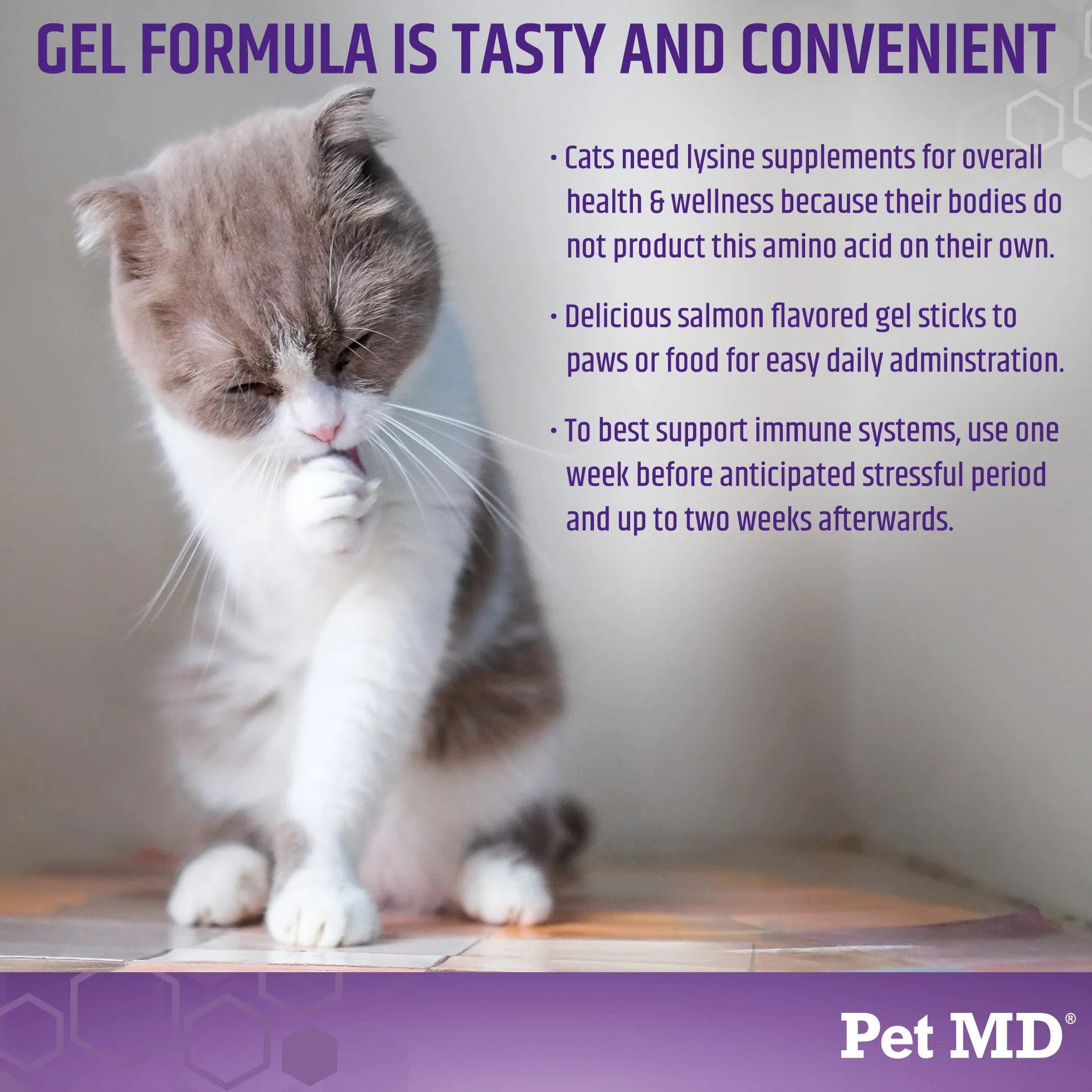 Swedencare Pet MD, Gel di Supporto a Base di Lisina per Gatti, Lisina L per Gatti, Supporto per Allergie e Carenze Immunitarie per Gatti, Integratore per Gatti, Gusto Salmone - 50 ml