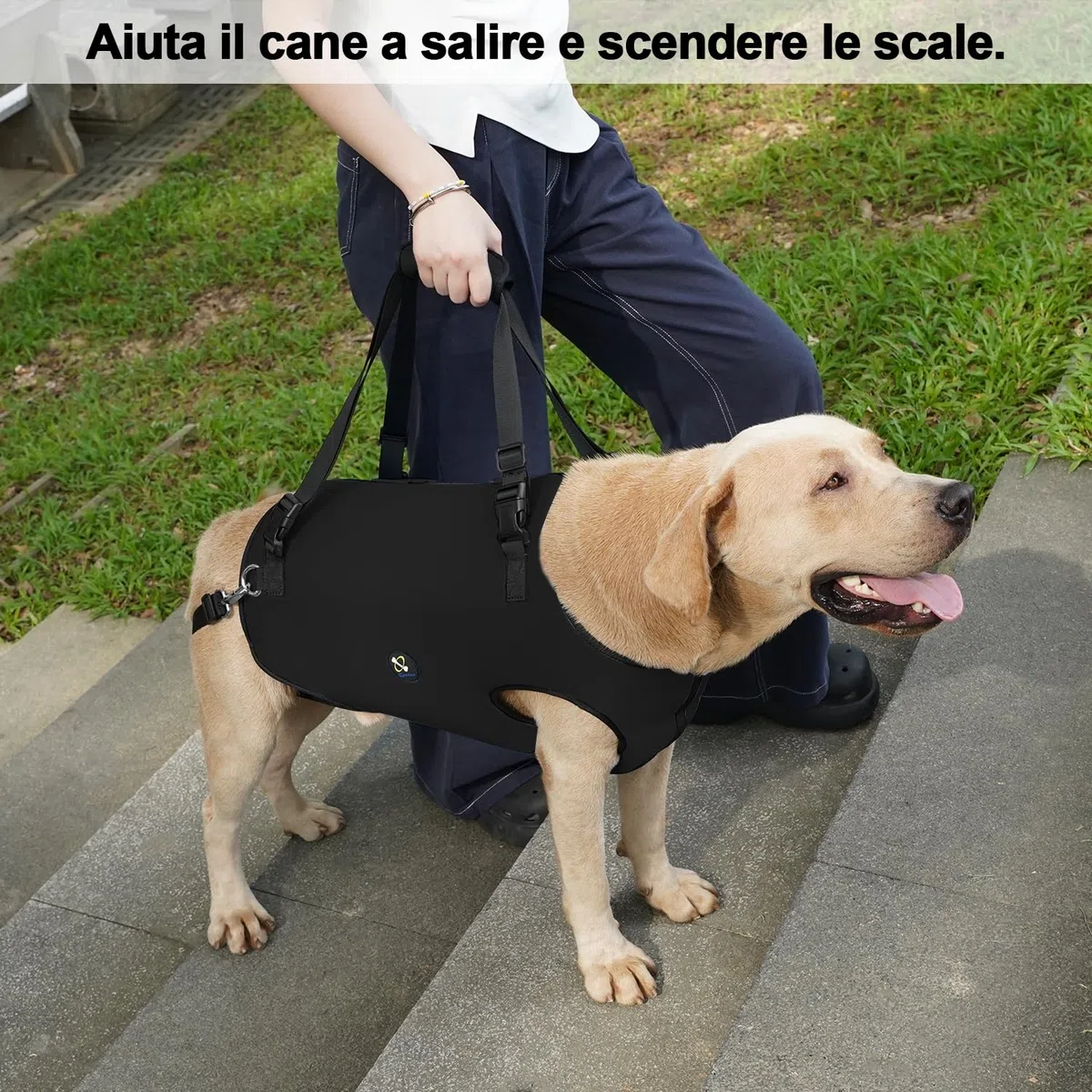 Coodeo Imbracatura per Cani, Sling di Supporto e Riabilitazione Regolabile con Cinghie Padded e Traspiranti per Cani Anziani, Disabili e con Infortuni Articolari. (Nero, XL)