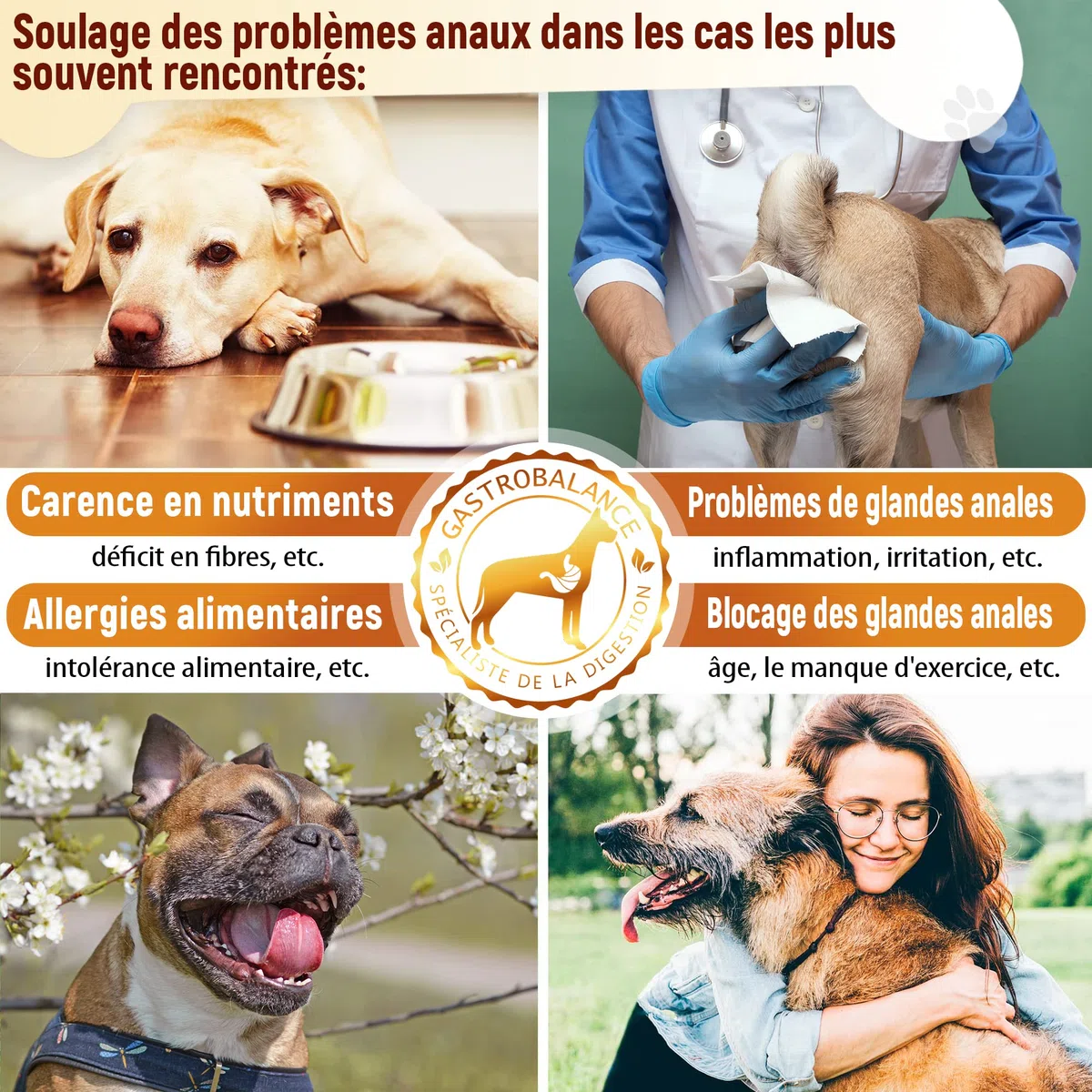 trattamento ghiandola cane - 60 crocchette che svuotano borse ghiandolari del cane - Gusto pollo (Italiano)