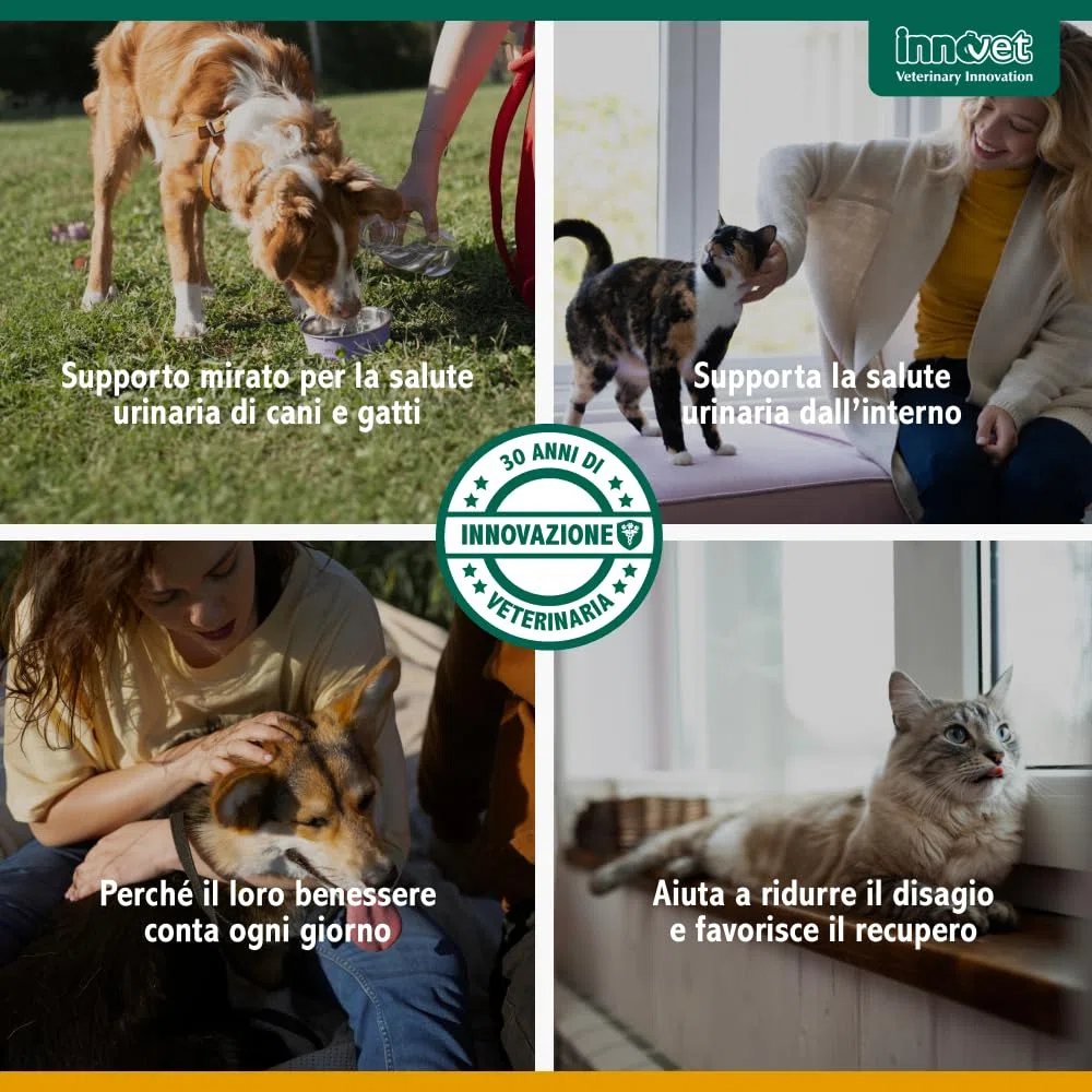 Innovet Urys Liquid 60 ml Per il benessere delle basse vie urinarie del cane e del gatto, con palmitoil-glucosamina micronizzata (PGA-m)