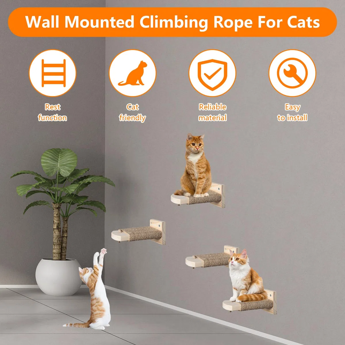 4 in 1 Parete da Arrampicata per Gatti, Scala a Muro per Gatti, Scale e Gradini da Parete per Gattis, Scaletta in Legno Massiccio di Gomma con Corda di Luta per Graffiare, Fino a 35 kg