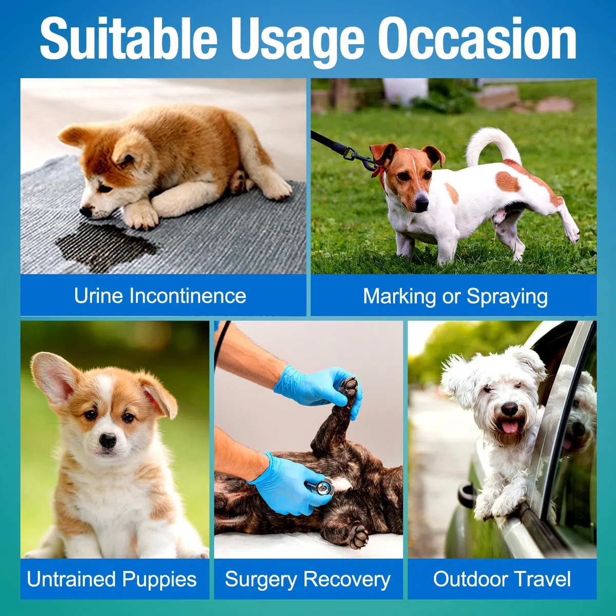 Pet Soft Pannolini per cani maschi - 50 pezzi pannolini monouso per cani maschi con indicatore di bagnatura, pannolini super assorbenti per cuccioli di cane maschi (XS-50 pezzi)