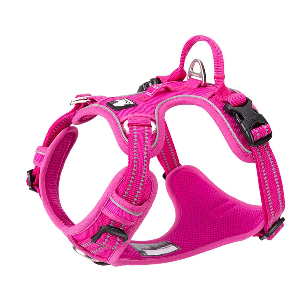 TRUE LOVE Pettorina per cani regolabile riflettente step-in nylon morbido per animali domestici di piccola e grande taglia TLH56512 (L, Fucsia)