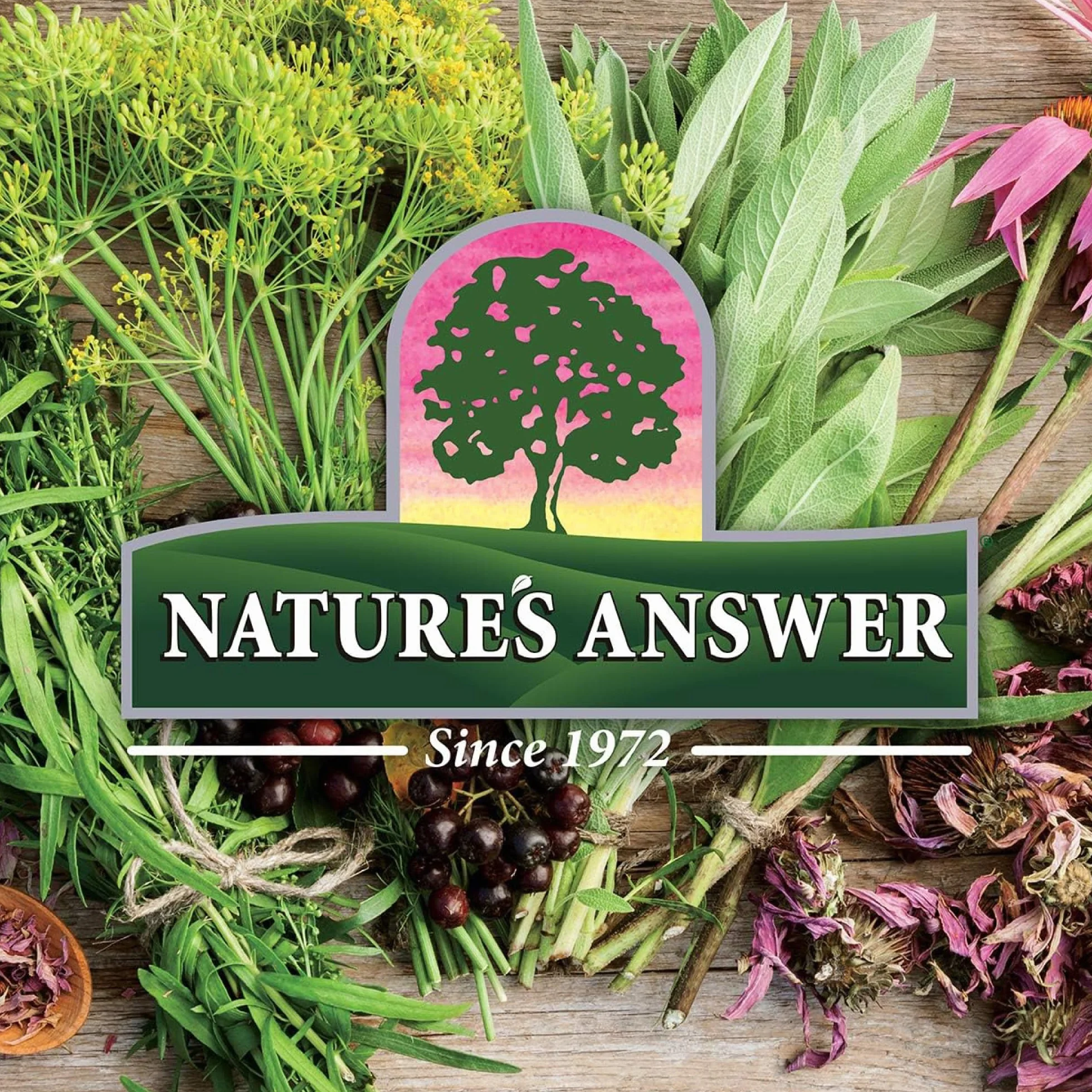 Nature's Answer, Cat's Claw Bark (Corteccia di Artiglio di Gatto), 2.000mg, 60ml, Testato in Laboratorio, Senza Glutine, Senza Soia, Vegetariano