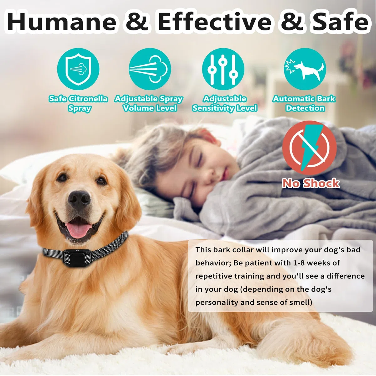Collare spray anti abbaiare SUPERNIGHT Citronella dispositivo di addestramento per cani sicuro umano ricaricabile con 2 cinghie regolabili