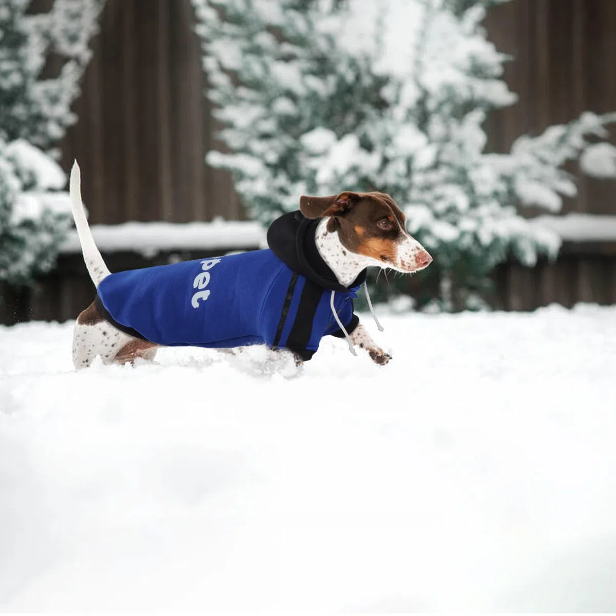 Lelepet Felpa con Cappuccio per Bassotto, Pullover con Stampa, Caldo Maglione in Pile di Cotone, Morbido Cappotto Invernale per Cani