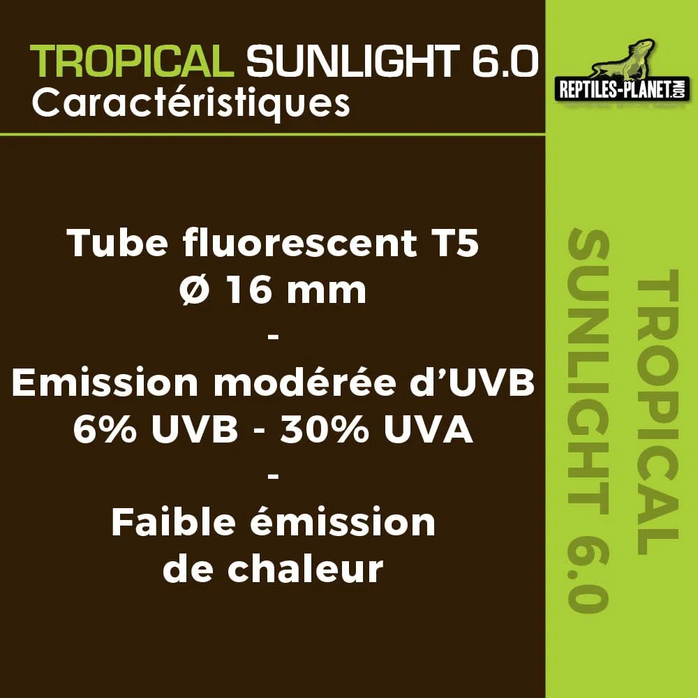 Rettili Planet T5 Tubo UVB 6.0 Tropicale Sunlight Illuminazione per Reptile/amphibien 8 W L 29 cm Diametro 16 mm