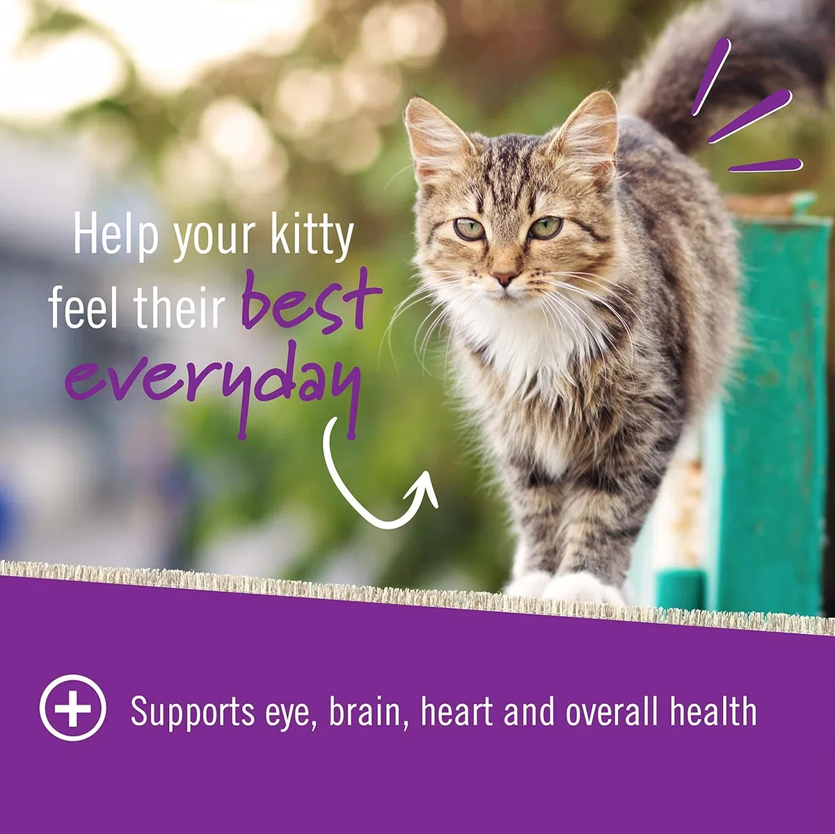 Pet Naturals Multivitaminico Giornaliero per Gatti con Biotina, Taurina e Arginina, 30 Masticabili Aromatizzati al Pesce