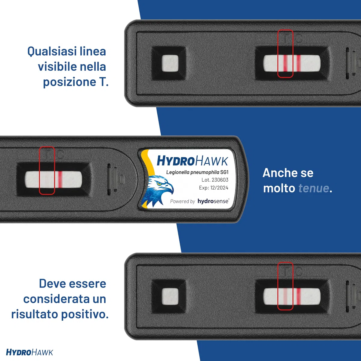Test HydroHawk Legionella – Kit Monouso per Rilevare Legionella pneumophila sg1 in Piscine, Docce, Rubinetti, Tubi, Condizionatori, Vasche – Risultato in 25 min – Per casa e viaggio