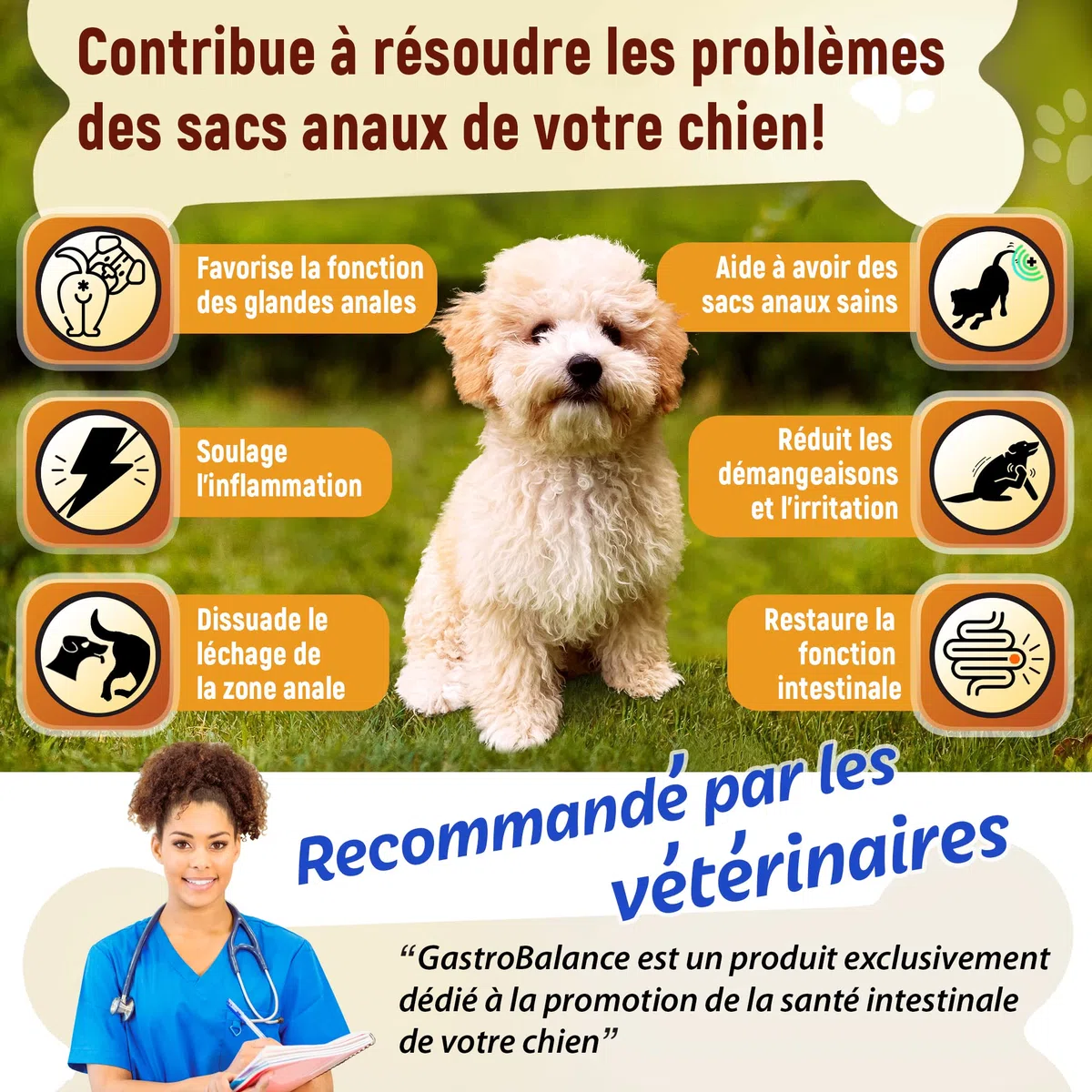 trattamento ghiandola cane - 60 crocchette che svuotano borse ghiandolari del cane - Gusto pollo (Italiano)