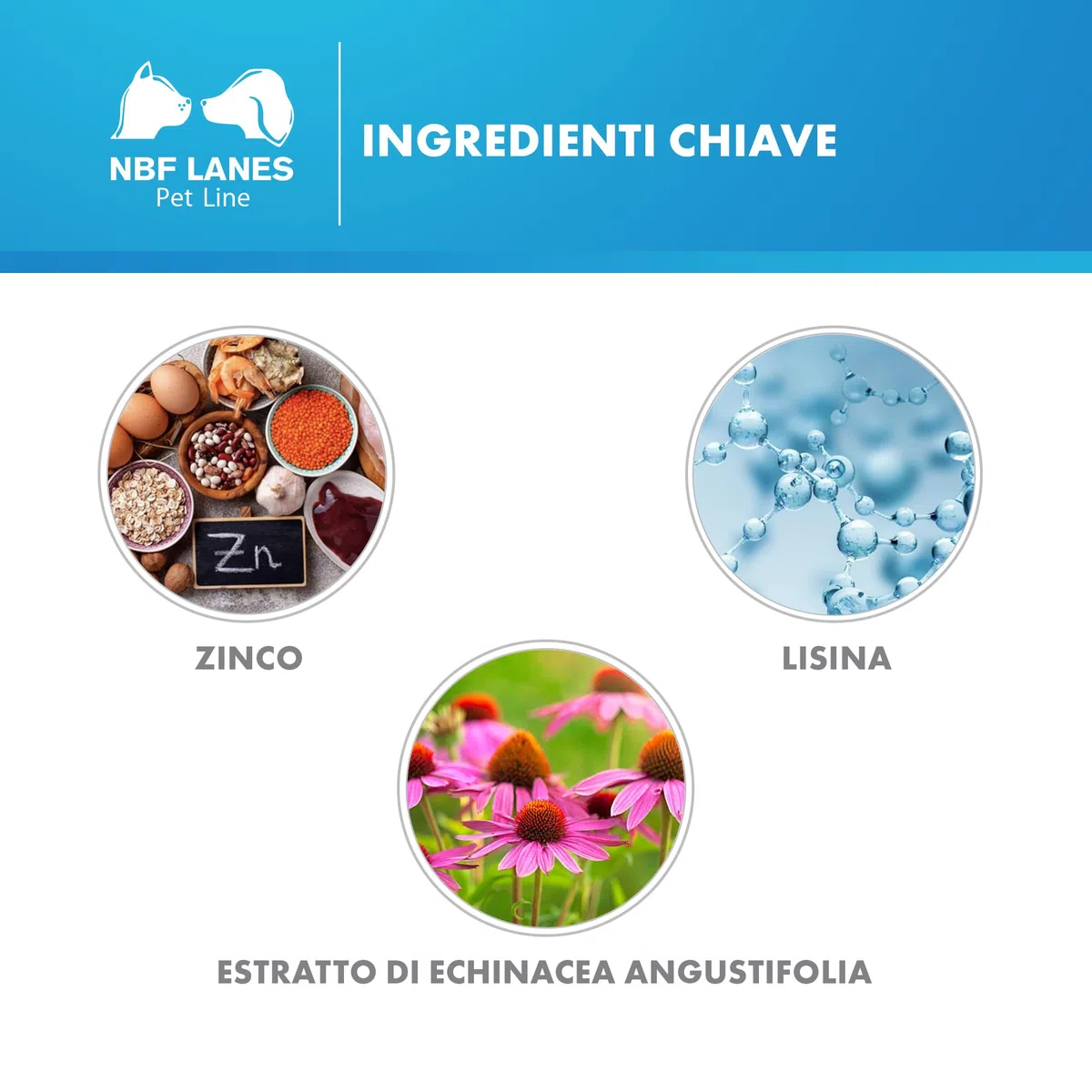 NBF Lanes | Zincogen Pet Immuno Cane e Gatto, Pasta Appetibile in stick pack 60 g, per il Normale Funzionamento del Sistema Immunitario del cane e gatto